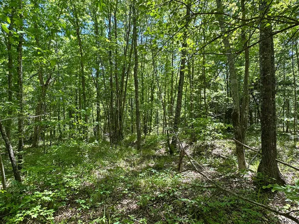 $700,000 | 4230 West Quaker Road, Keysville, GA 30816