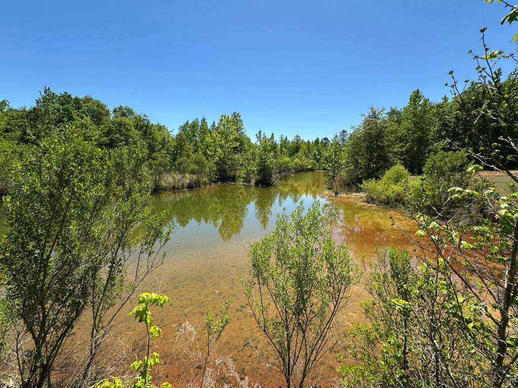 4230 West Quaker Road Keysville, GA 30816 - Photo 3 of 19 57pond2