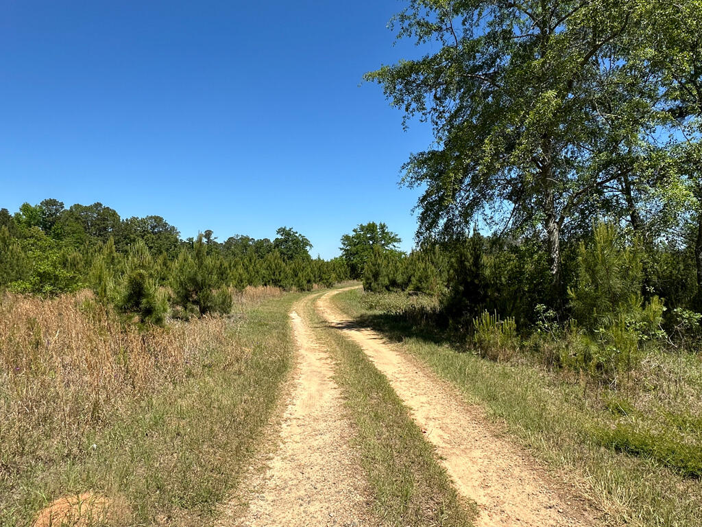 4230 West Quaker Road Keysville, GA 30816 - Photo 10 of 19 57drive