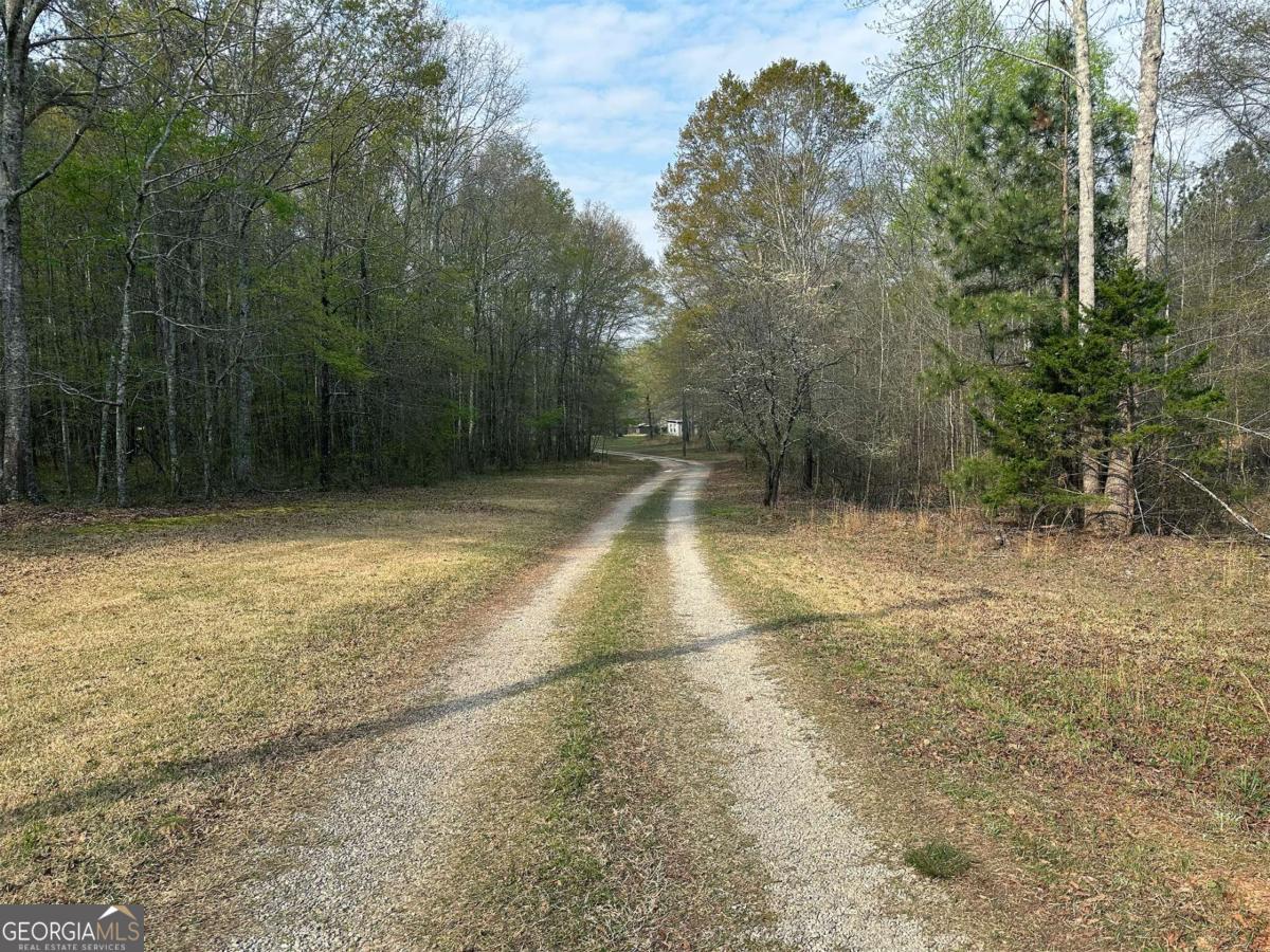 1104 Farm Road Colbert, GA 30628 - Photo 28 of 39 Driveway