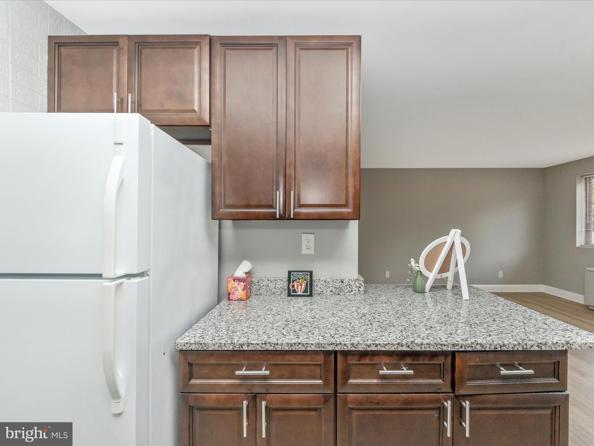 8601 Manchester Road, Unit 417 Silver Spring, MD 20901 - Photo 23 of 51 Kitchen