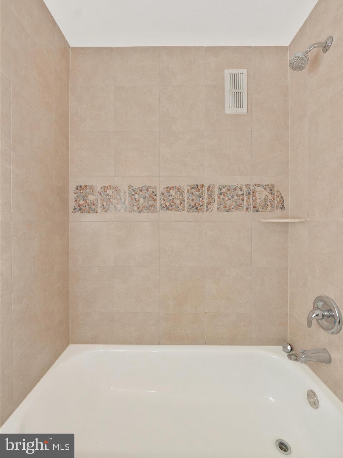 8601 Manchester Road, Unit 417 Silver Spring, MD 20901 - Photo 36 of 51 Primary Bathroom