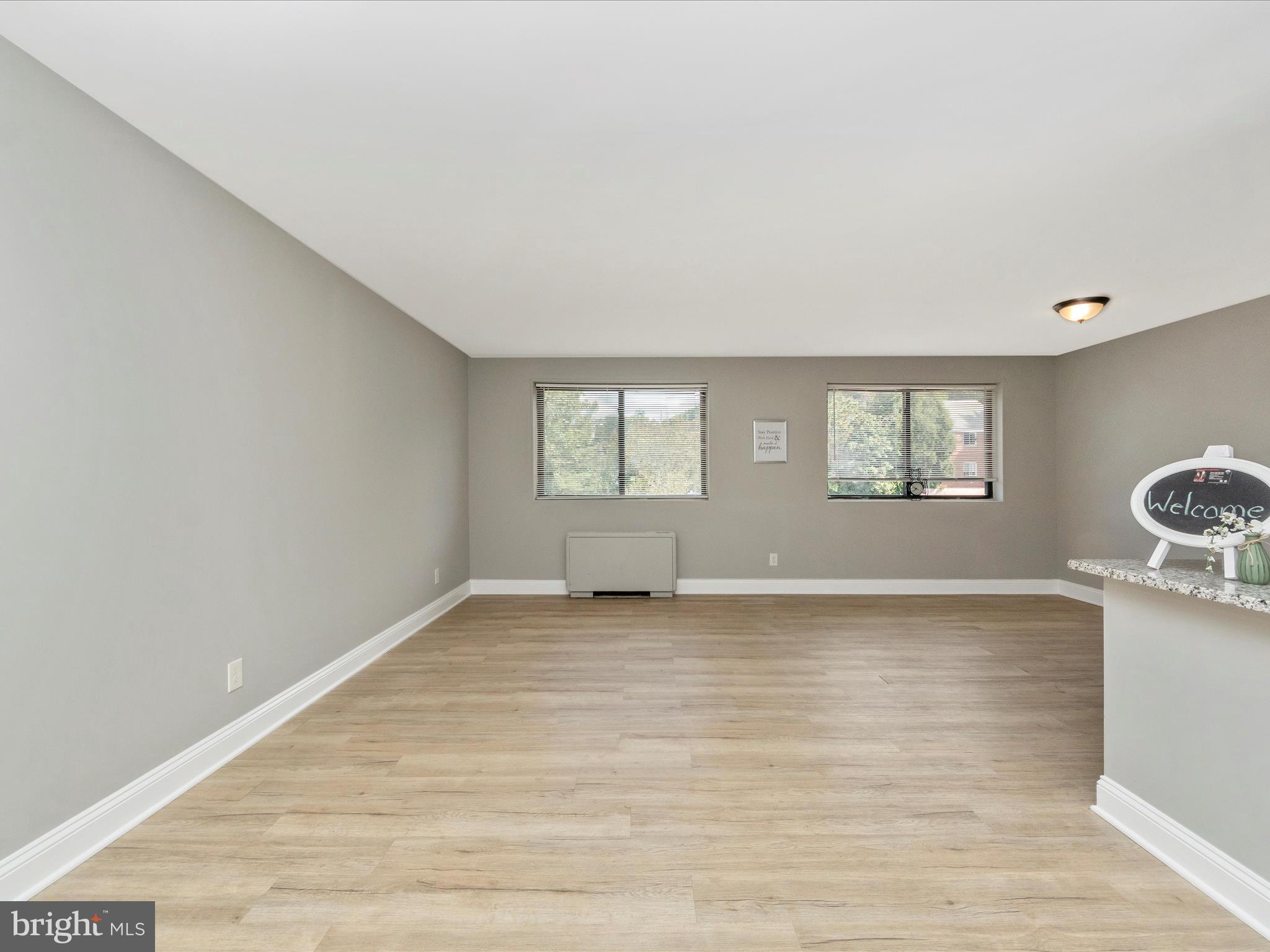 8601 Manchester Road, Unit 417 Silver Spring, MD 20901 - Photo 5 of 51 Living Room
