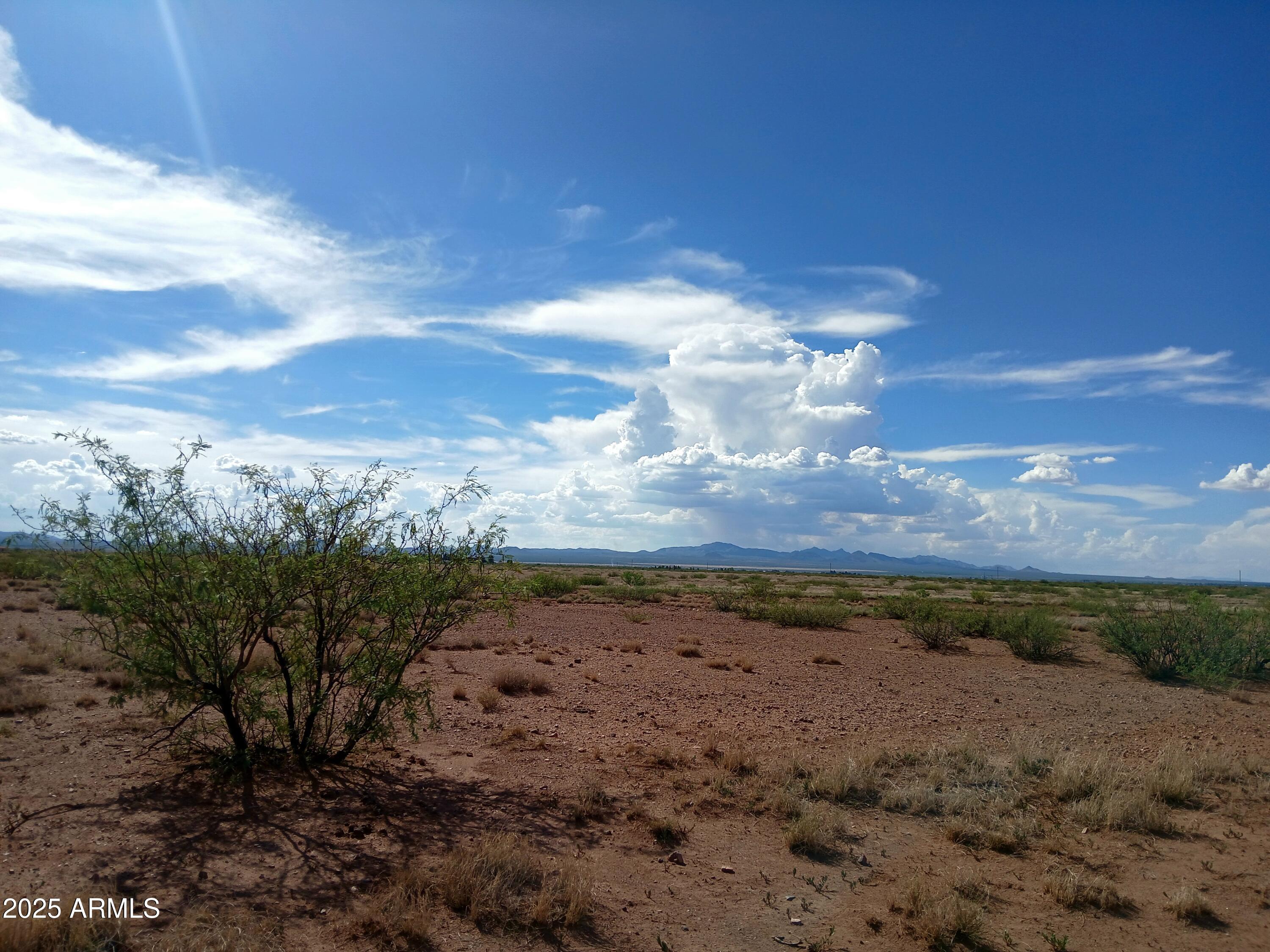 Tbd North Ee Ranch Road, Unit 1/4 McNeal, AZ 85617 - Photo 3 of 11 a view of a dry yard with wooden fence