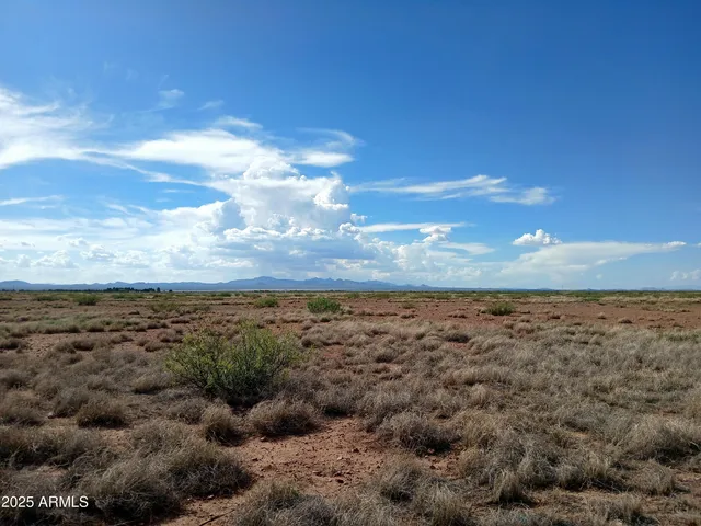 $26,064 | Tbd North Ee Ranch Road, Unit 1/4, McNeal, AZ 85617