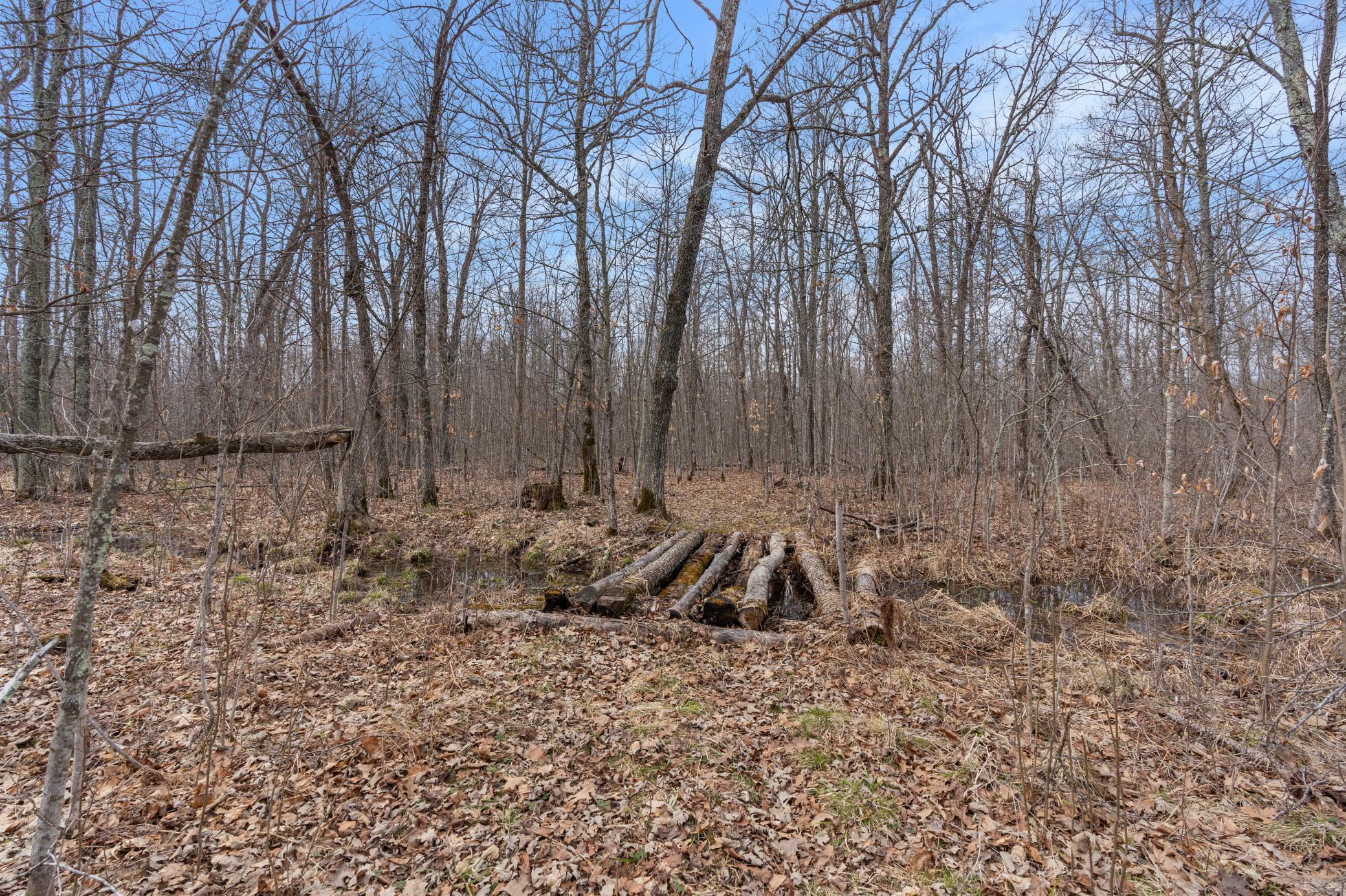 Xxx Ivory Street Isle, MN 56342 - Photo 26 of 58