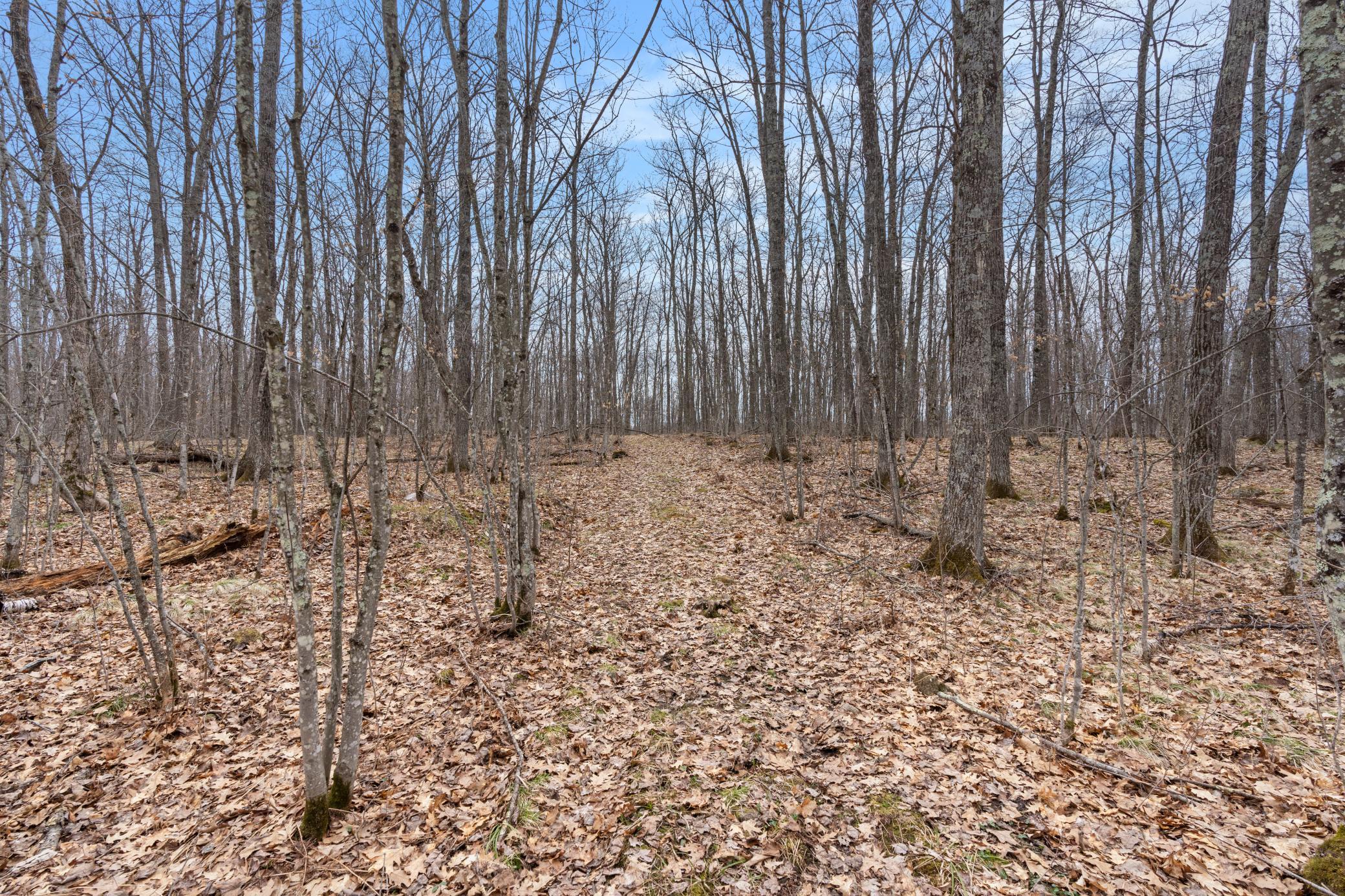 Xxx Ivory Street Isle, MN 56342 - Photo 29 of 58
