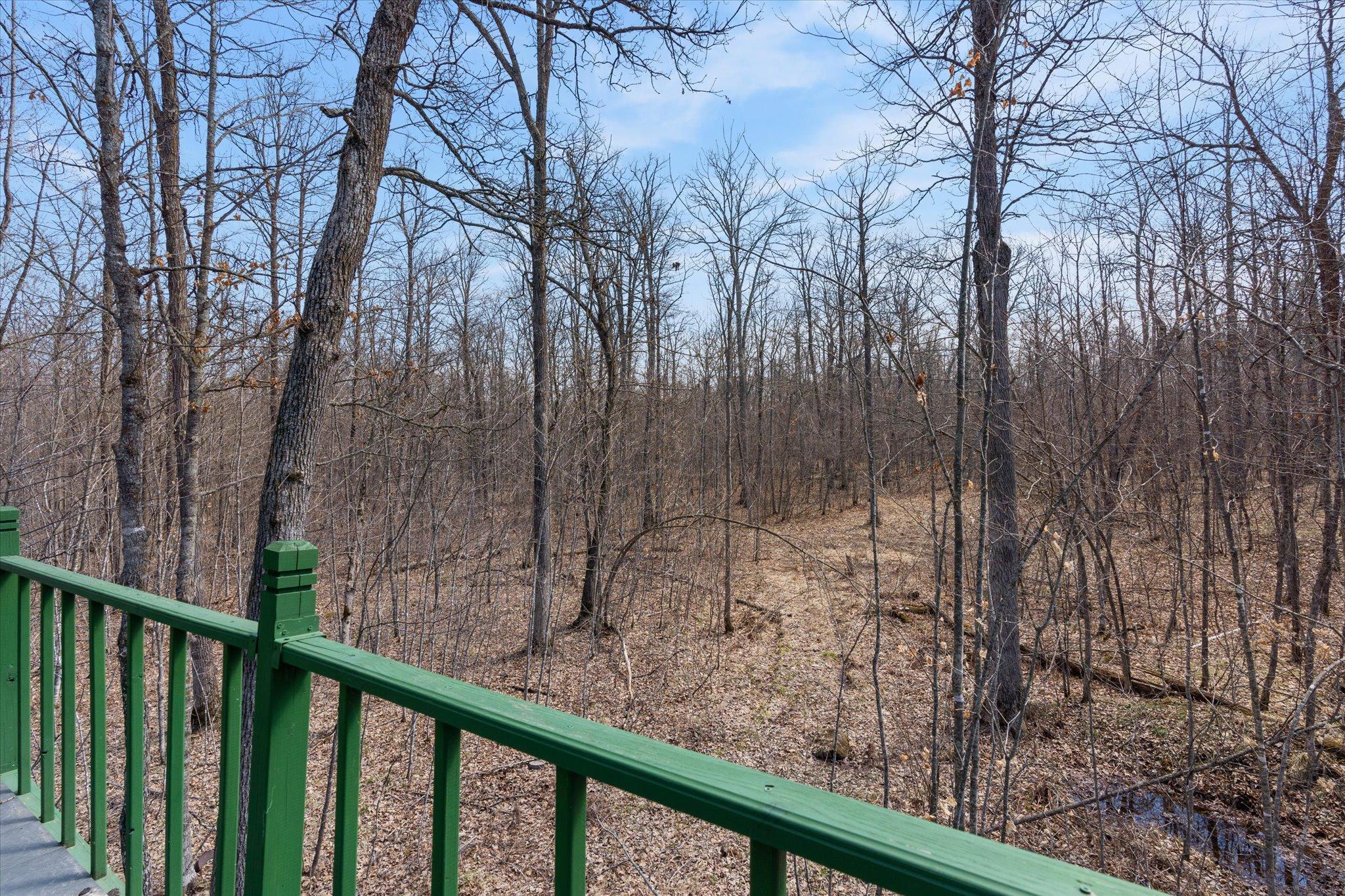 Xxx Ivory Street Isle, MN 56342 - Photo 32 of 58