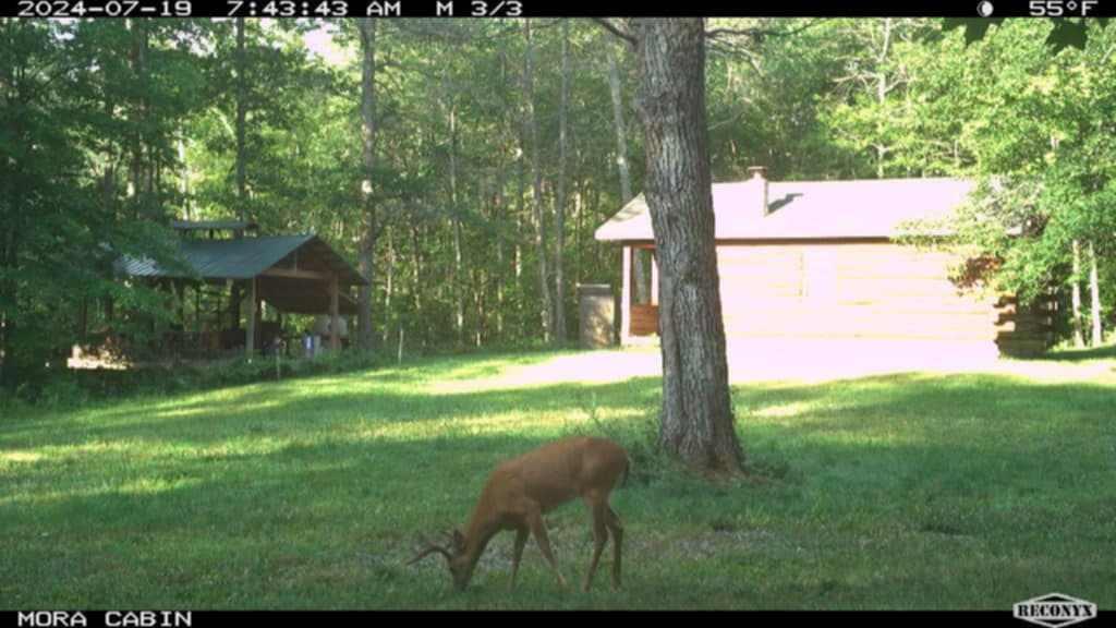 Xxx Ivory Street Isle, MN 56342 - Photo 36 of 58
