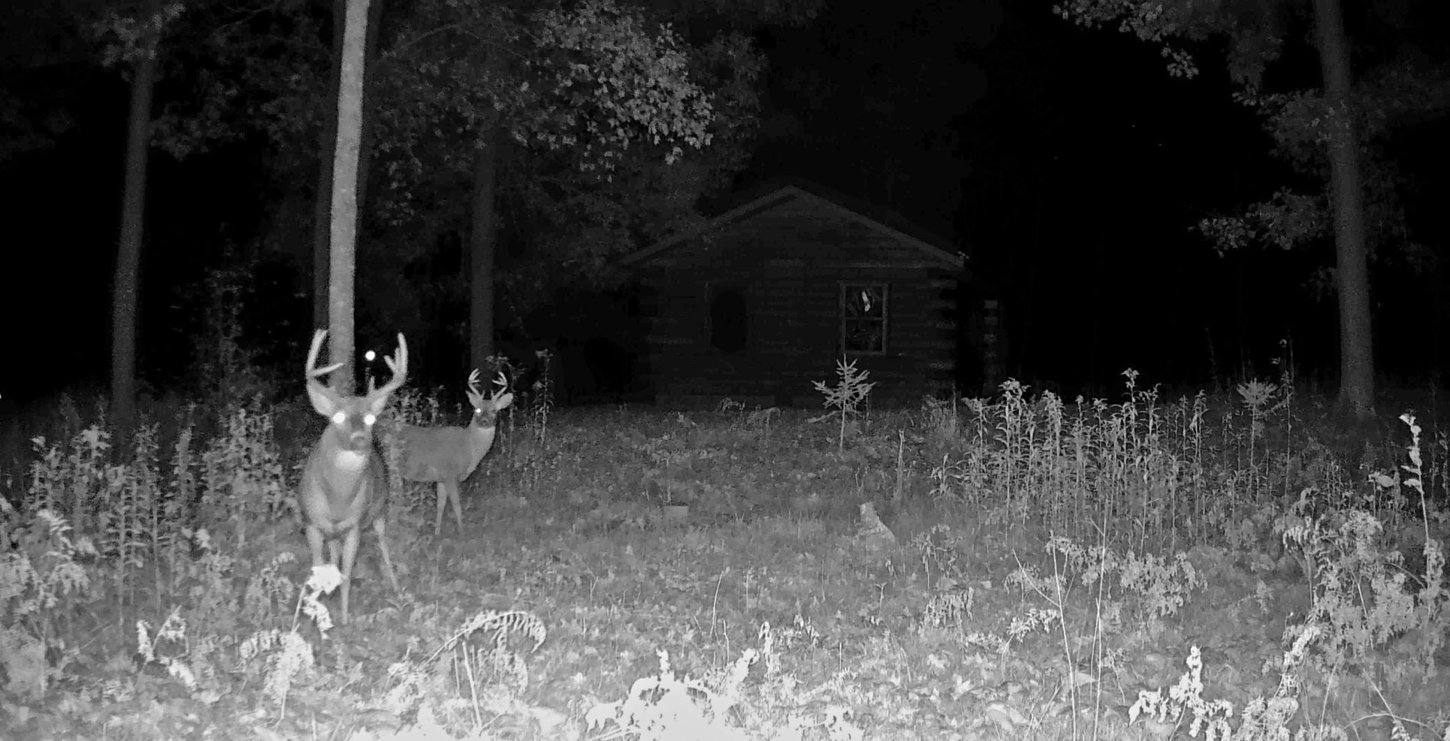 Xxx Ivory Street Isle, MN 56342 - Photo 42 of 58