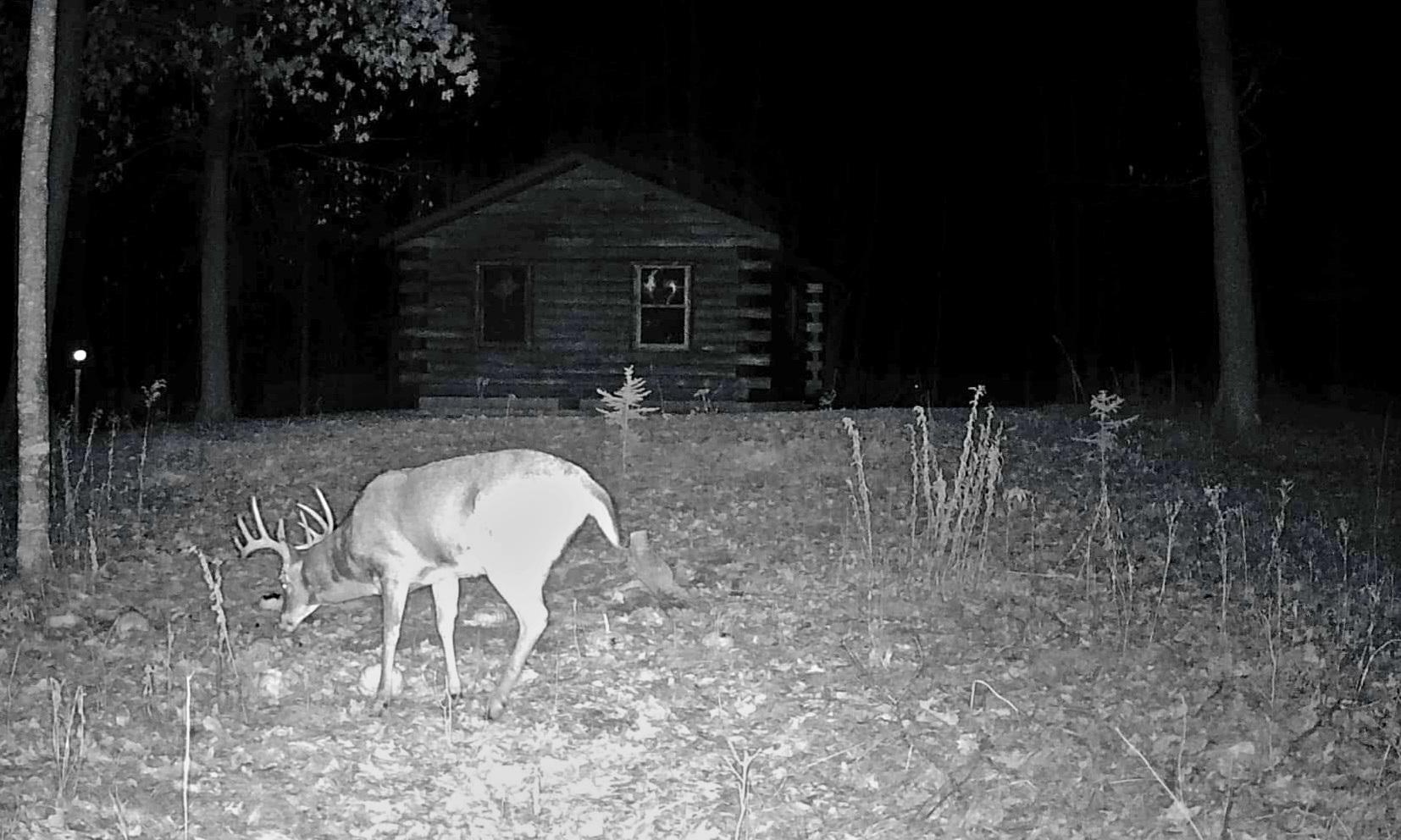 Xxx Ivory Street Isle, MN 56342 - Photo 8 of 58