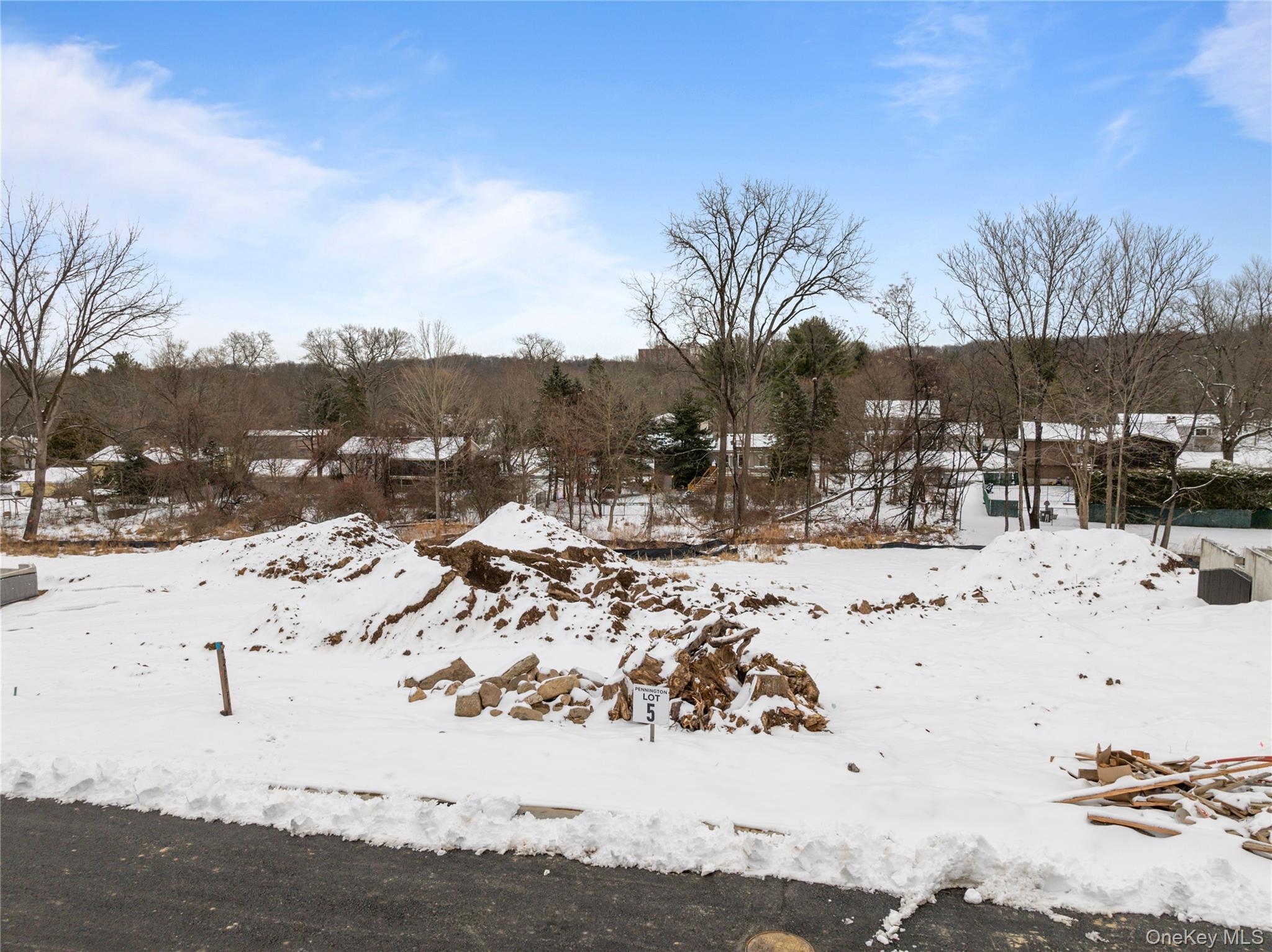 26 Argo Lane Spring Valley, NY 10977 - Photo 1 of 3 View of snowy yard