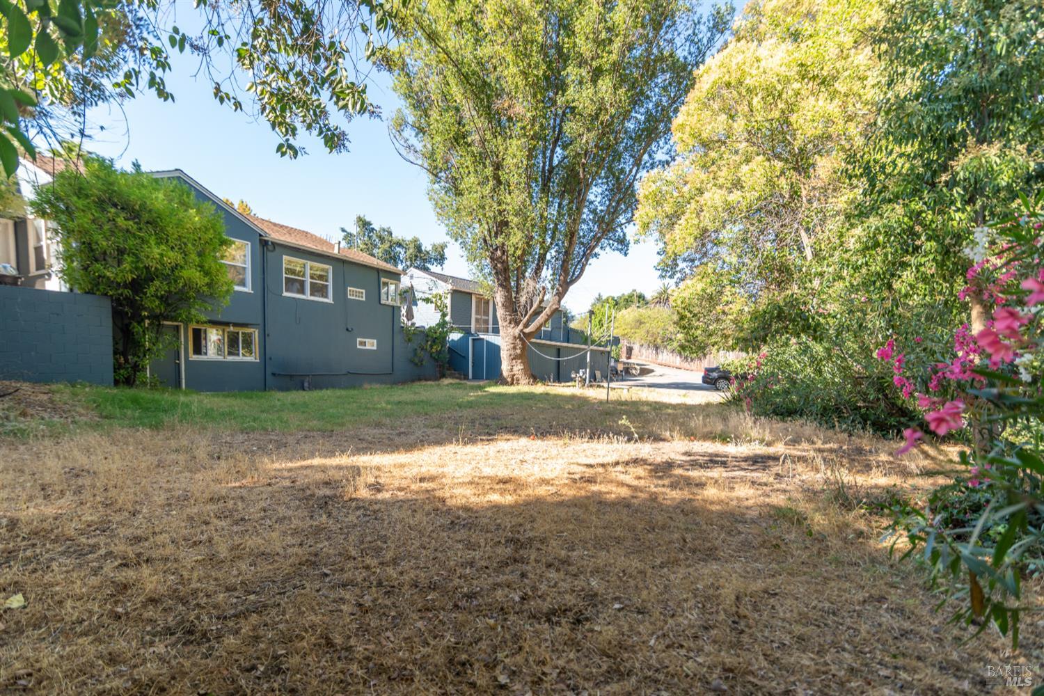 1818 4th Street Santa Rosa, CA 95404 - Photo 34 of 39 a view of yard with tree