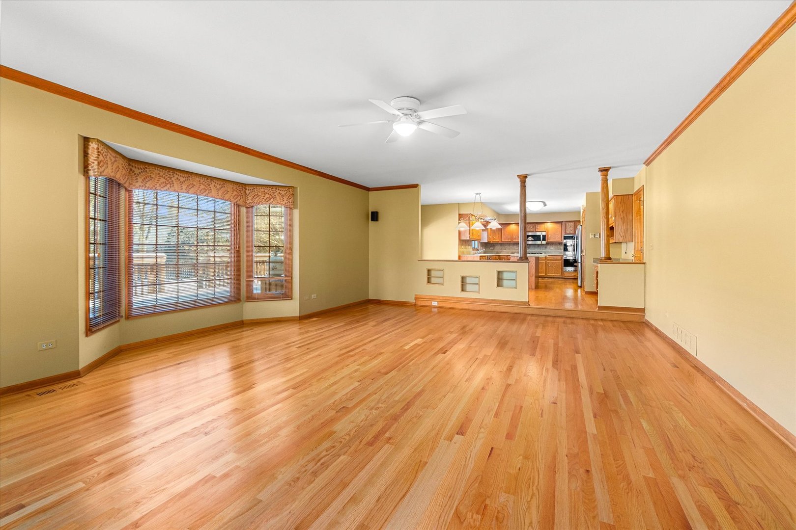 3720 Mandeville Lane Naperville, IL 60564 - Photo 6 of 49