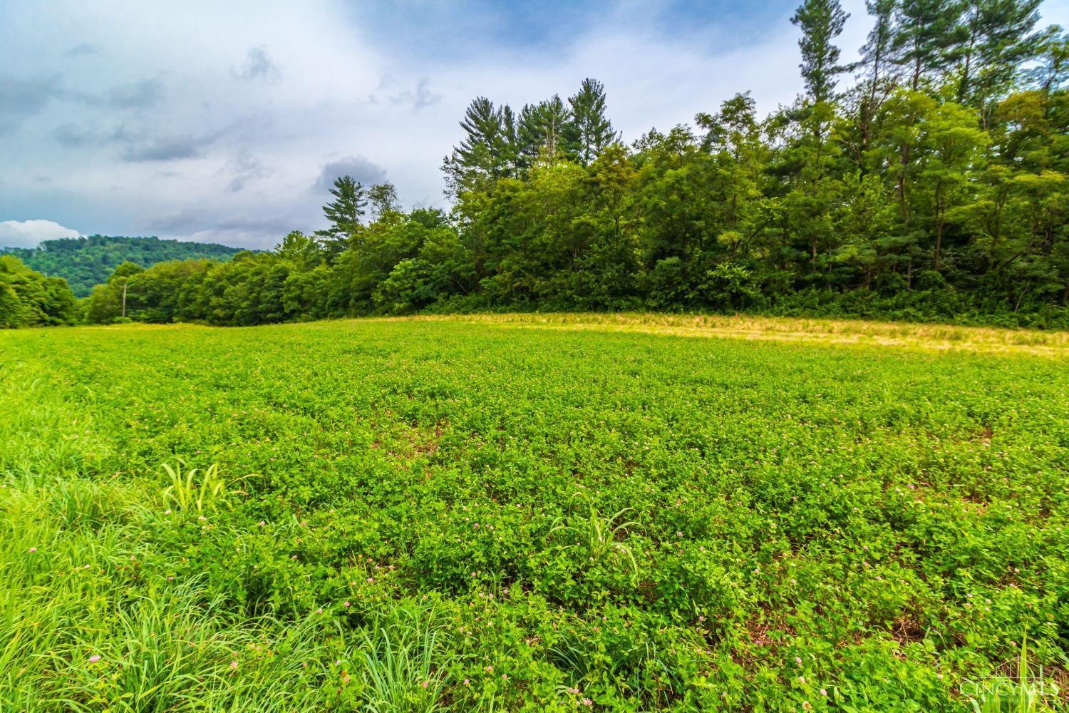321 Red Bridge Road Peebles, OH 45660 - Photo 4 of 12