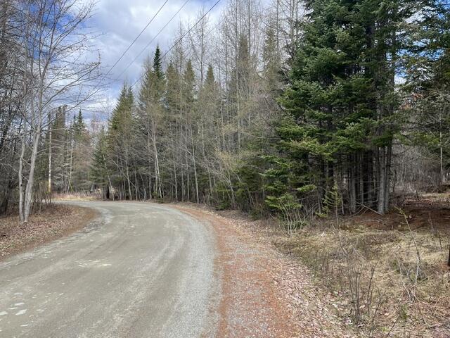 Lot 12 Doe Path Rangeley, ME 04970 - Photo 2 of 7 IMG_9028