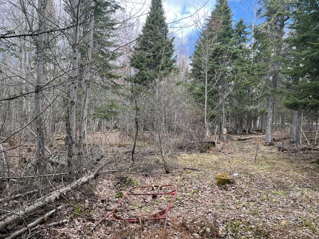 Lot 12 Doe Path Rangeley, ME 04970 - Photo 5 of 7 IMG_9029