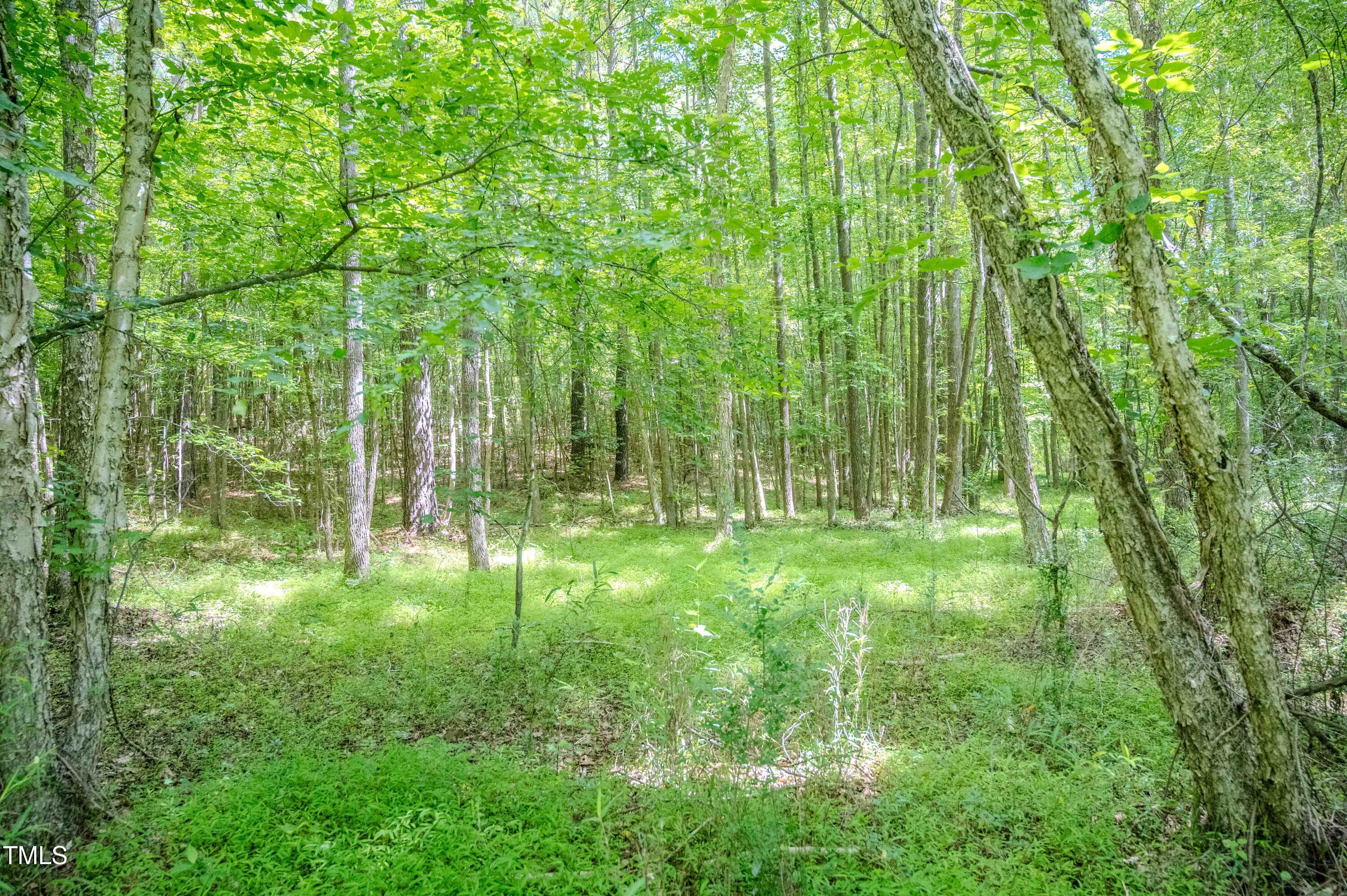 1 Covered Bridge Road Zebulon, NC 27597 - Photo 29 of 53 29