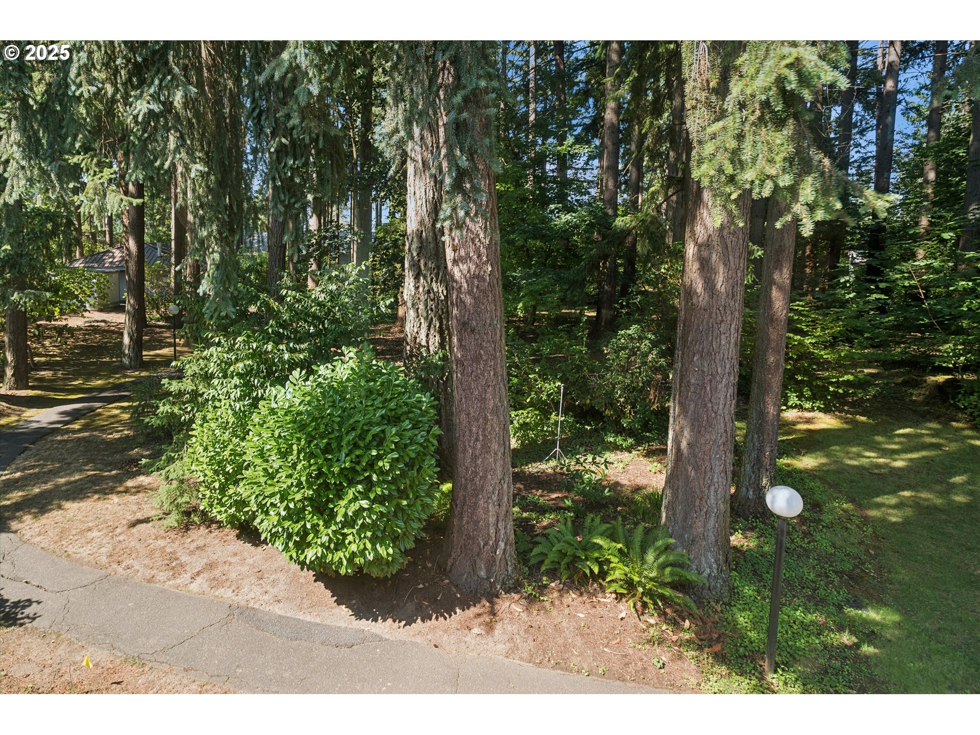 1200 Northeast Territorial Road, Unit 93 Canby, OR 97013 - Photo 29 of 36 a view of a yard with plants and large trees
