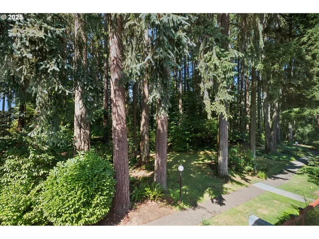 a view of outdoor space and garden