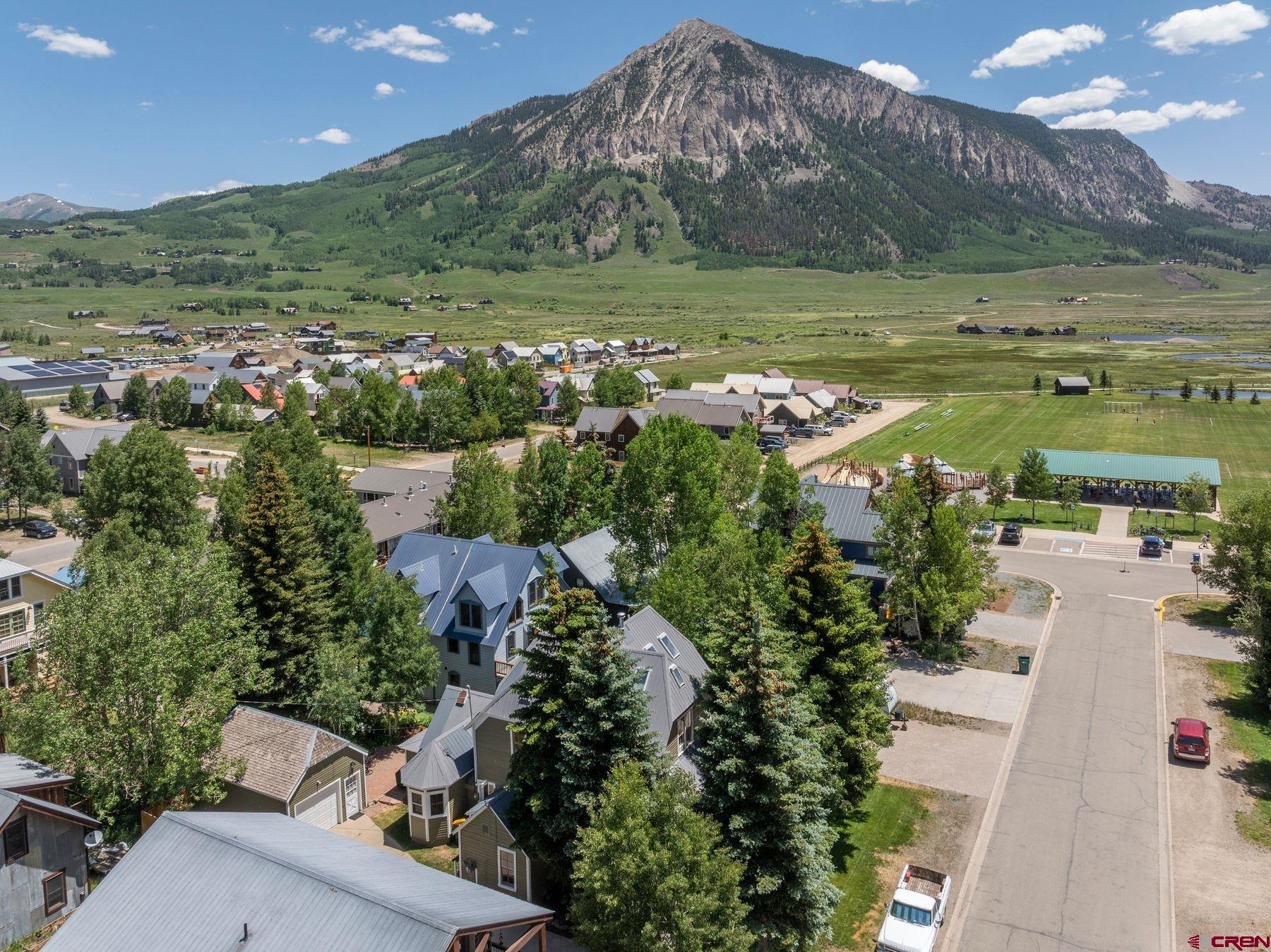 721 Maroon Avenue Crested Butte, CO 81224 - Photo 27 of 31 a view of a garden with an ocean