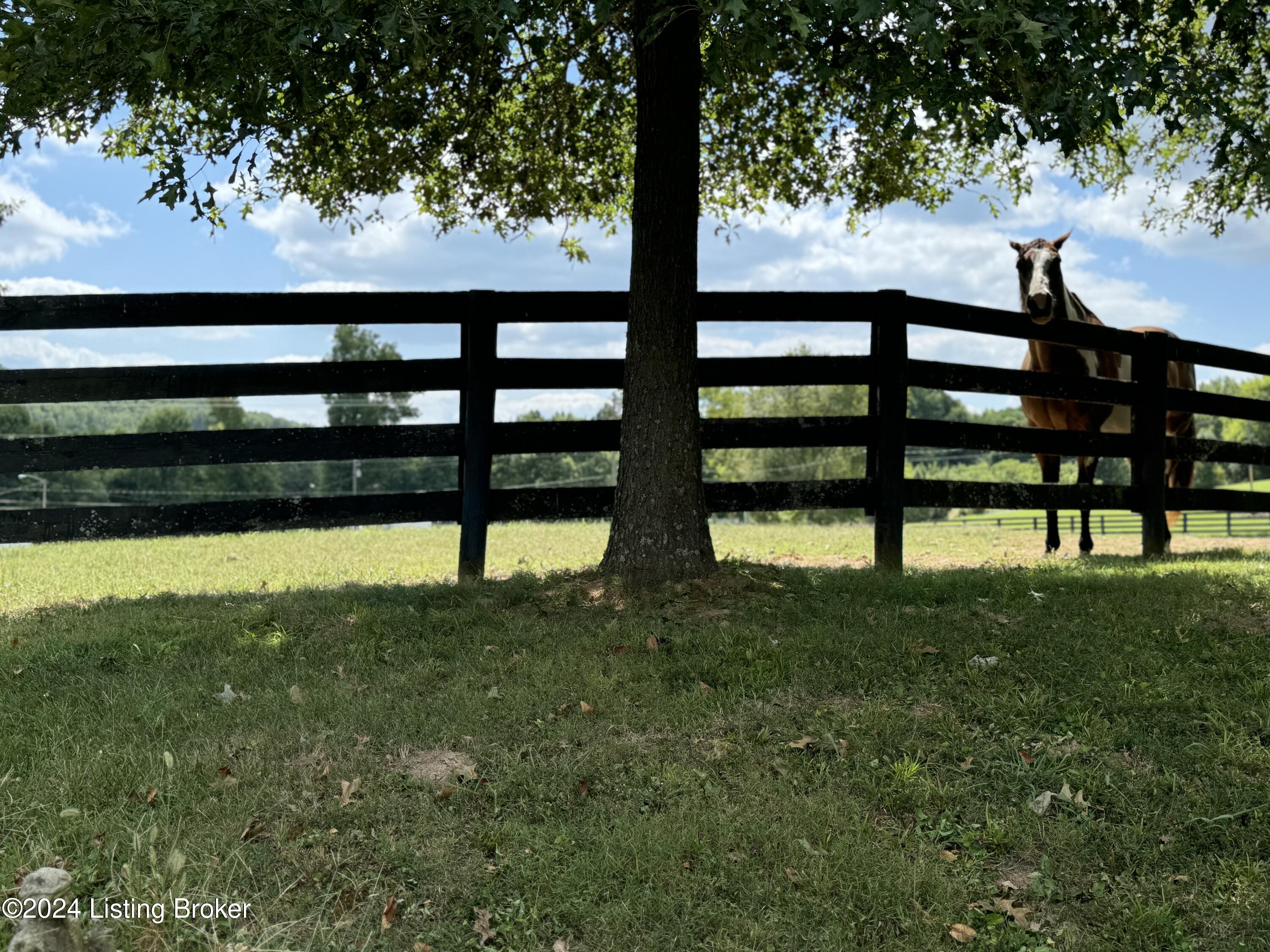 1184 Brooks Hill Road Brooks, KY 40109 - Photo 15 of 98 IMG_2270