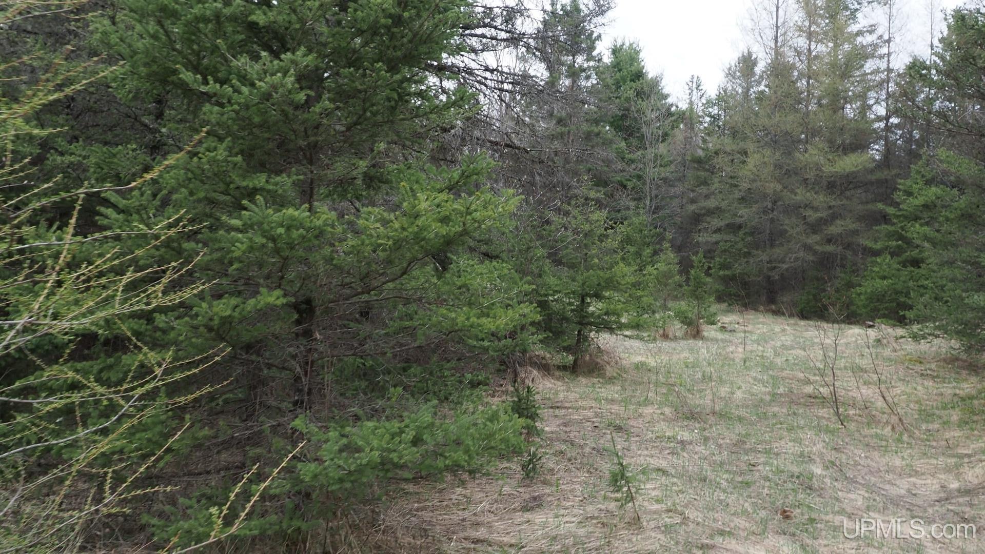 Tbd 38 Road Rapid River, MI 49878 - Photo 5 of 5
