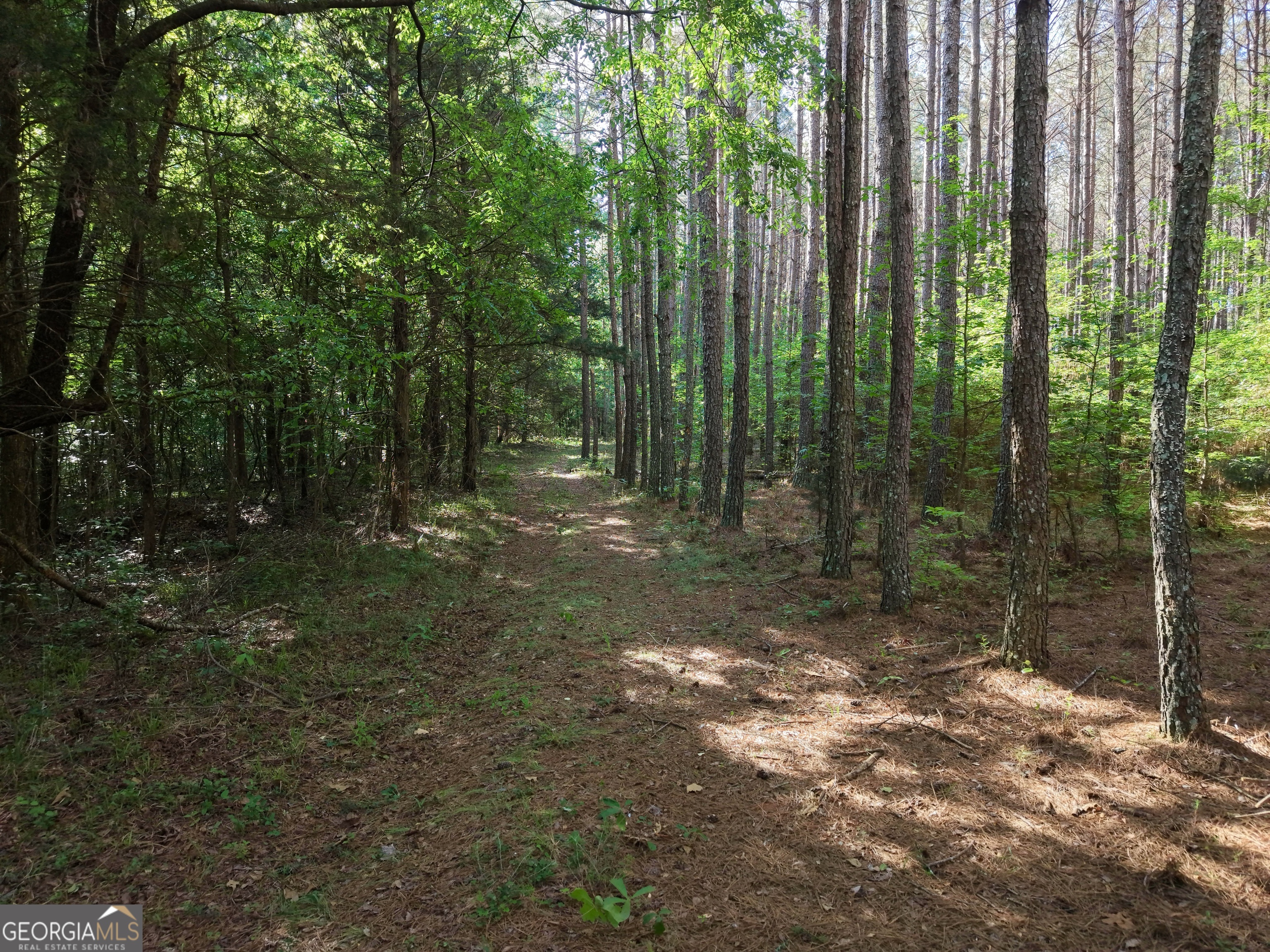 2486 Hulmes Chapel Road Elberton, GA 30635 - Photo 21 of 77