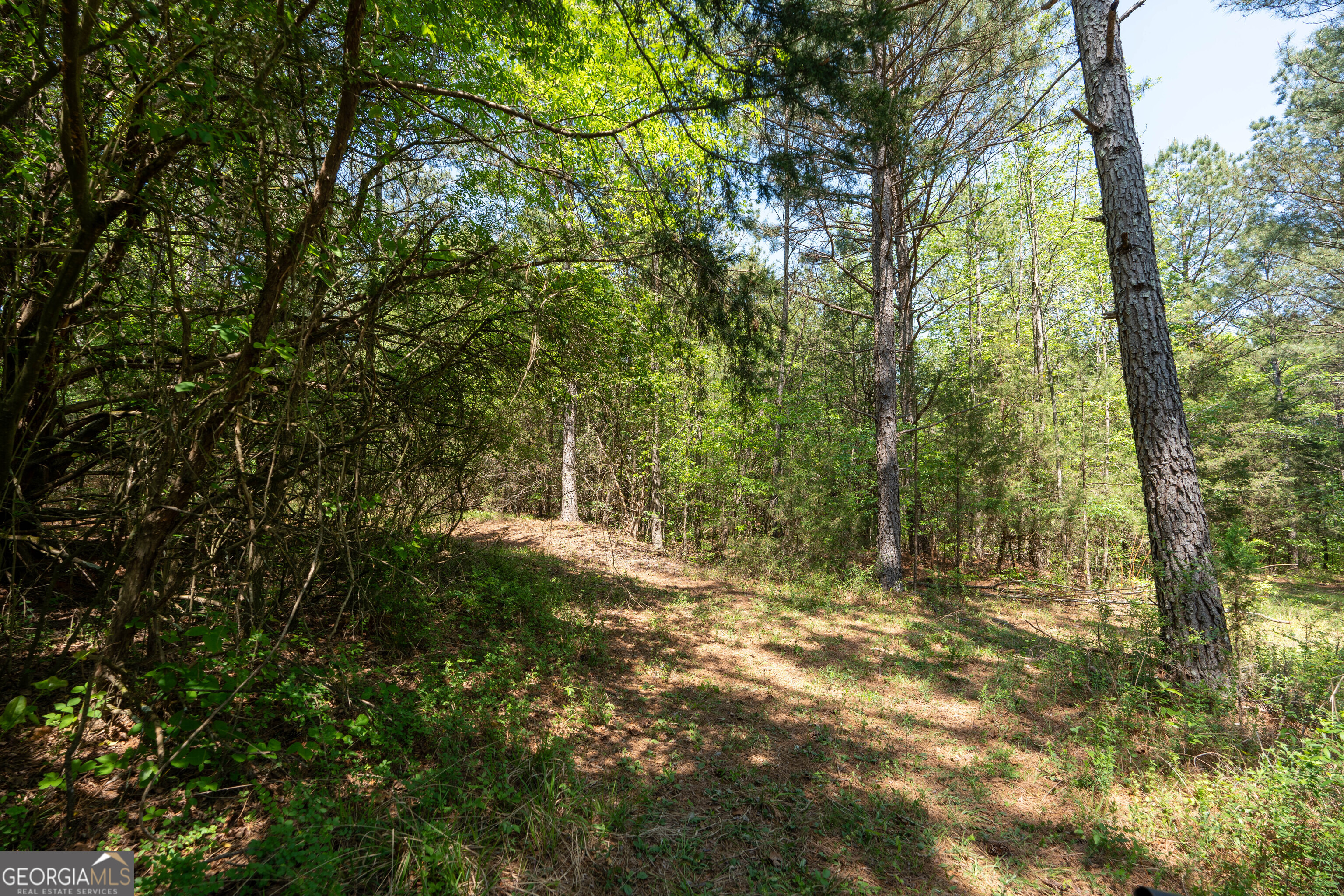 2486 Hulmes Chapel Road Elberton, GA 30635 - Photo 24 of 77