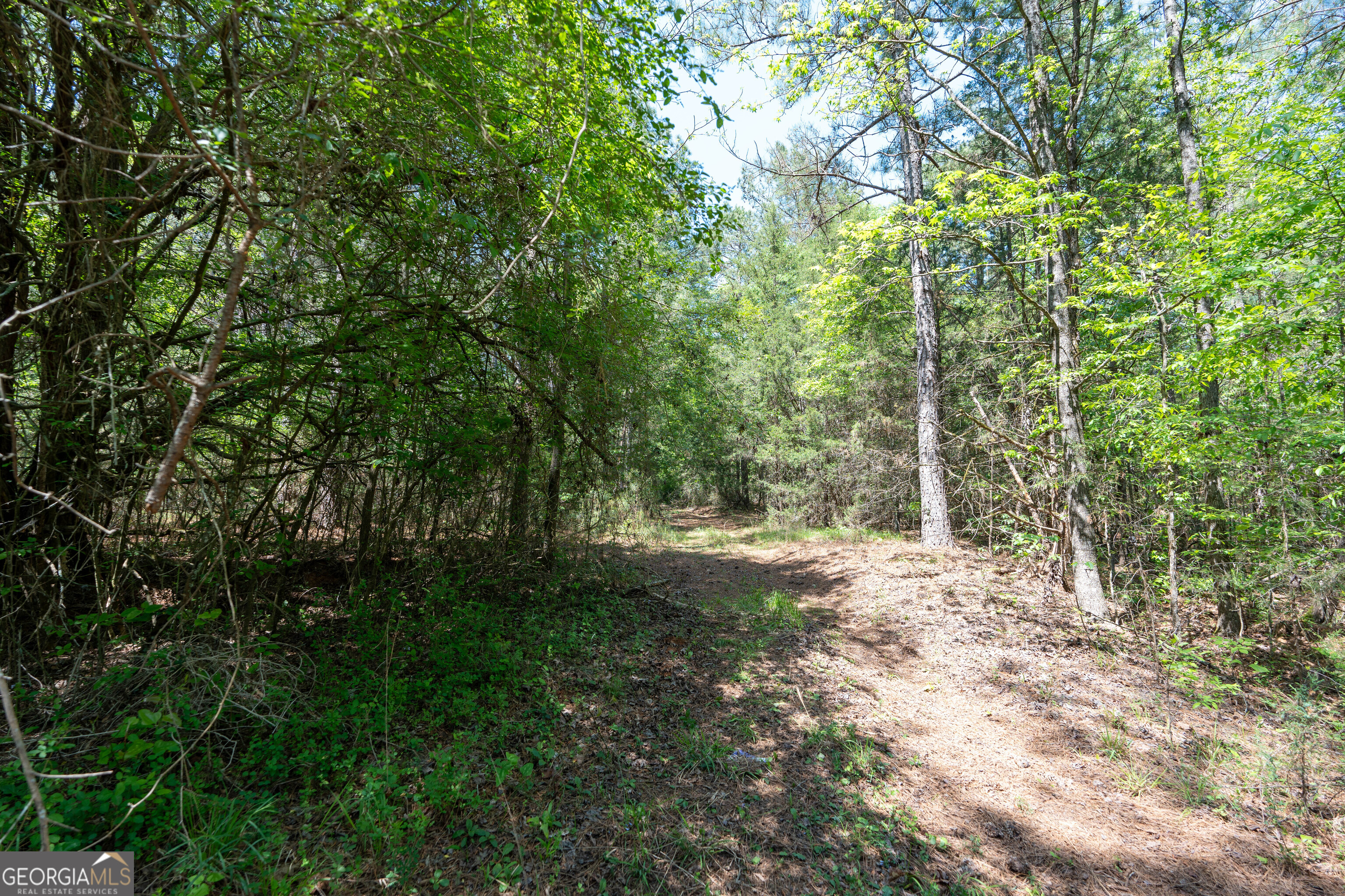 2486 Hulmes Chapel Road Elberton, GA 30635 - Photo 25 of 77