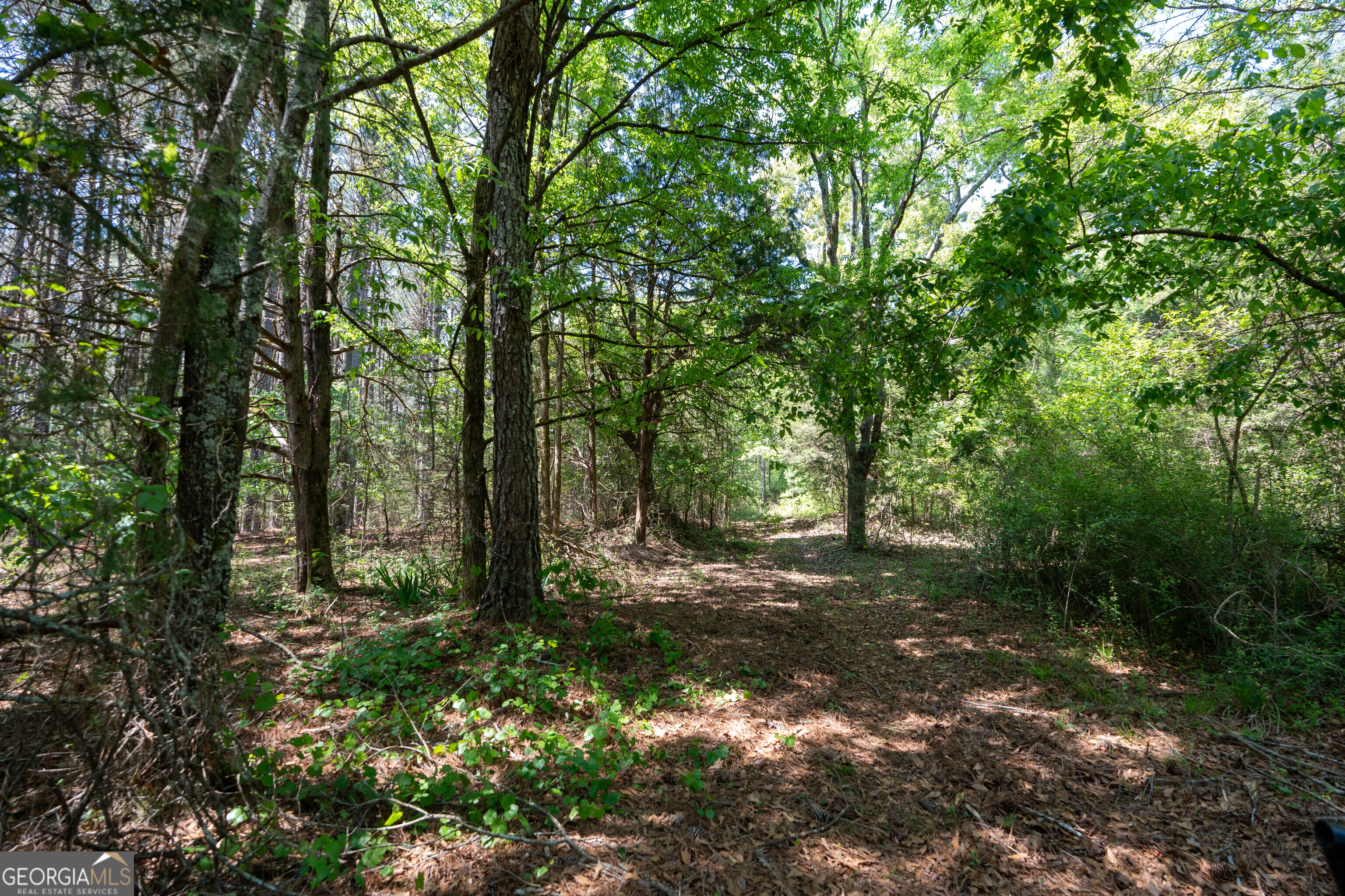 2486 Hulmes Chapel Road Elberton, GA 30635 - Photo 26 of 77