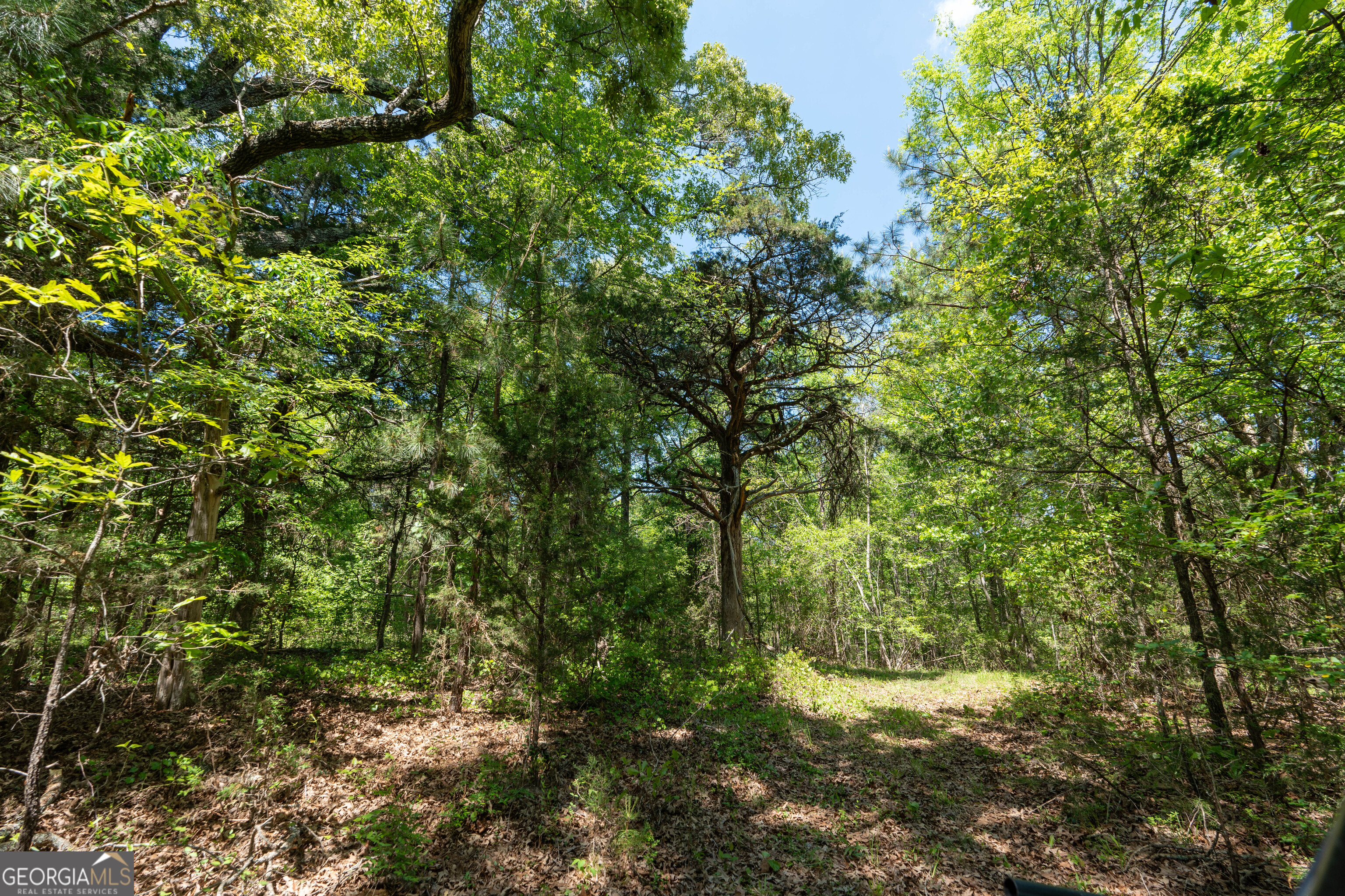 2486 Hulmes Chapel Road Elberton, GA 30635 - Photo 27 of 77