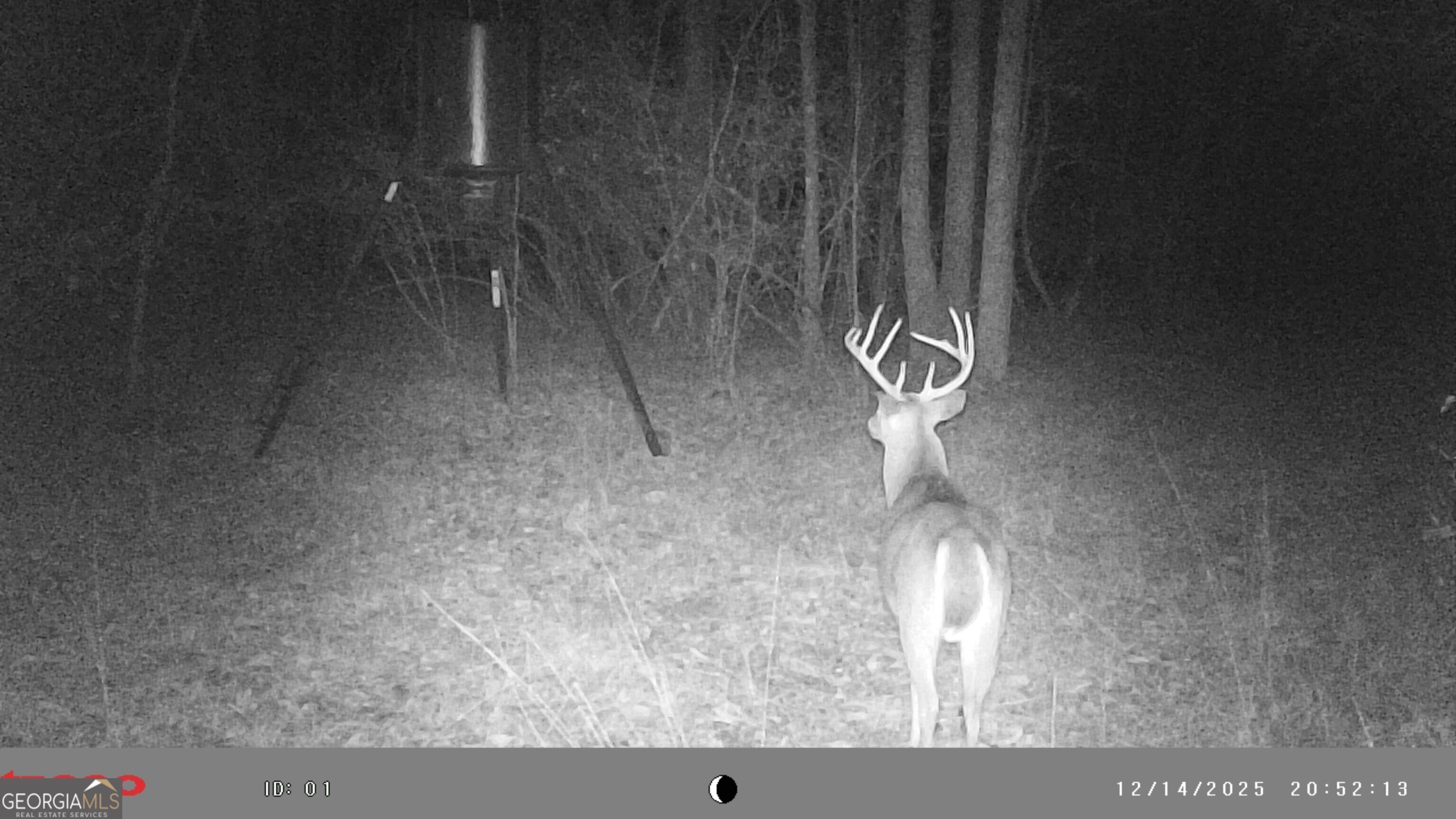 2486 Hulmes Chapel Road Elberton, GA 30635 - Photo 3 of 77