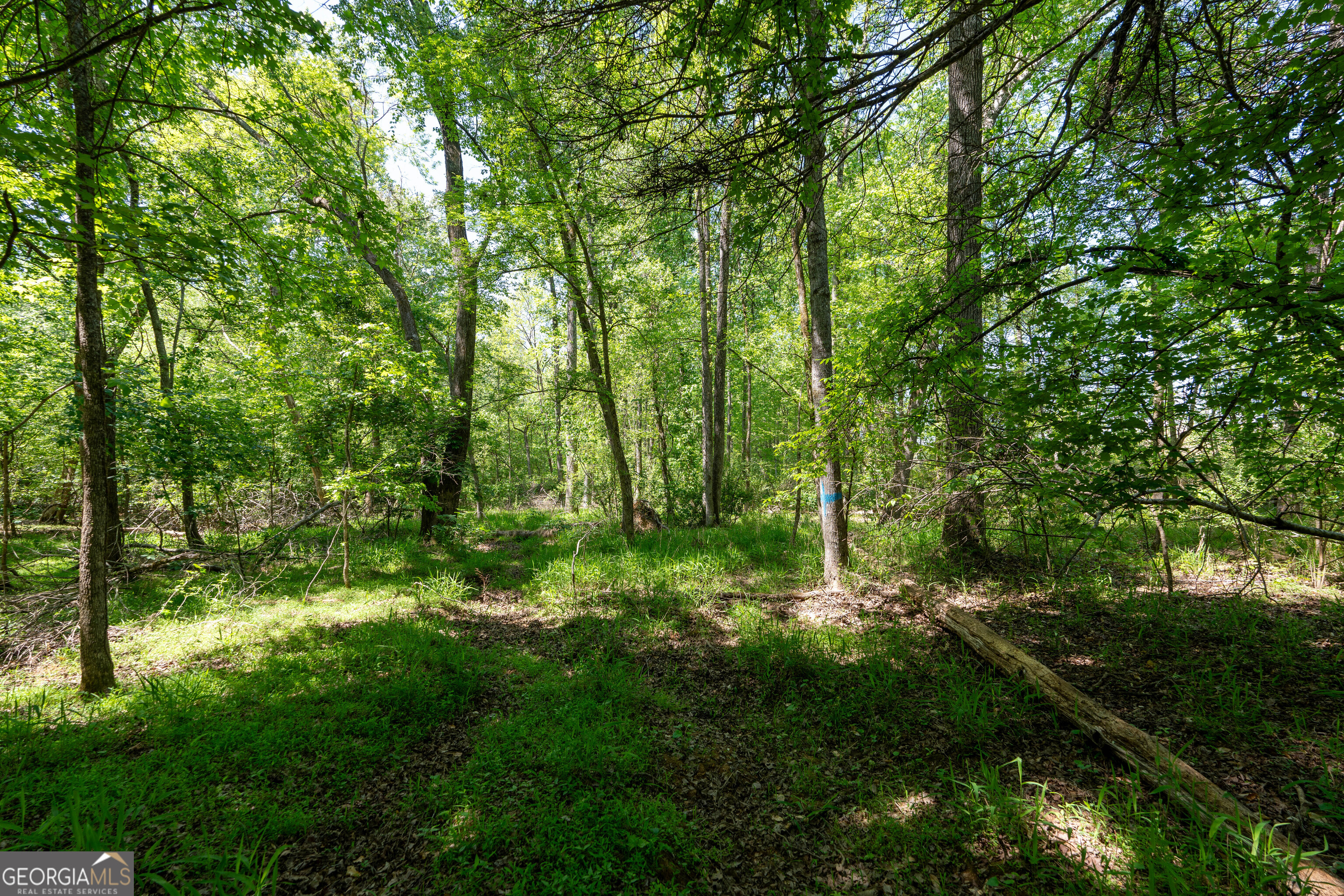 2486 Hulmes Chapel Road Elberton, GA 30635 - Photo 36 of 77