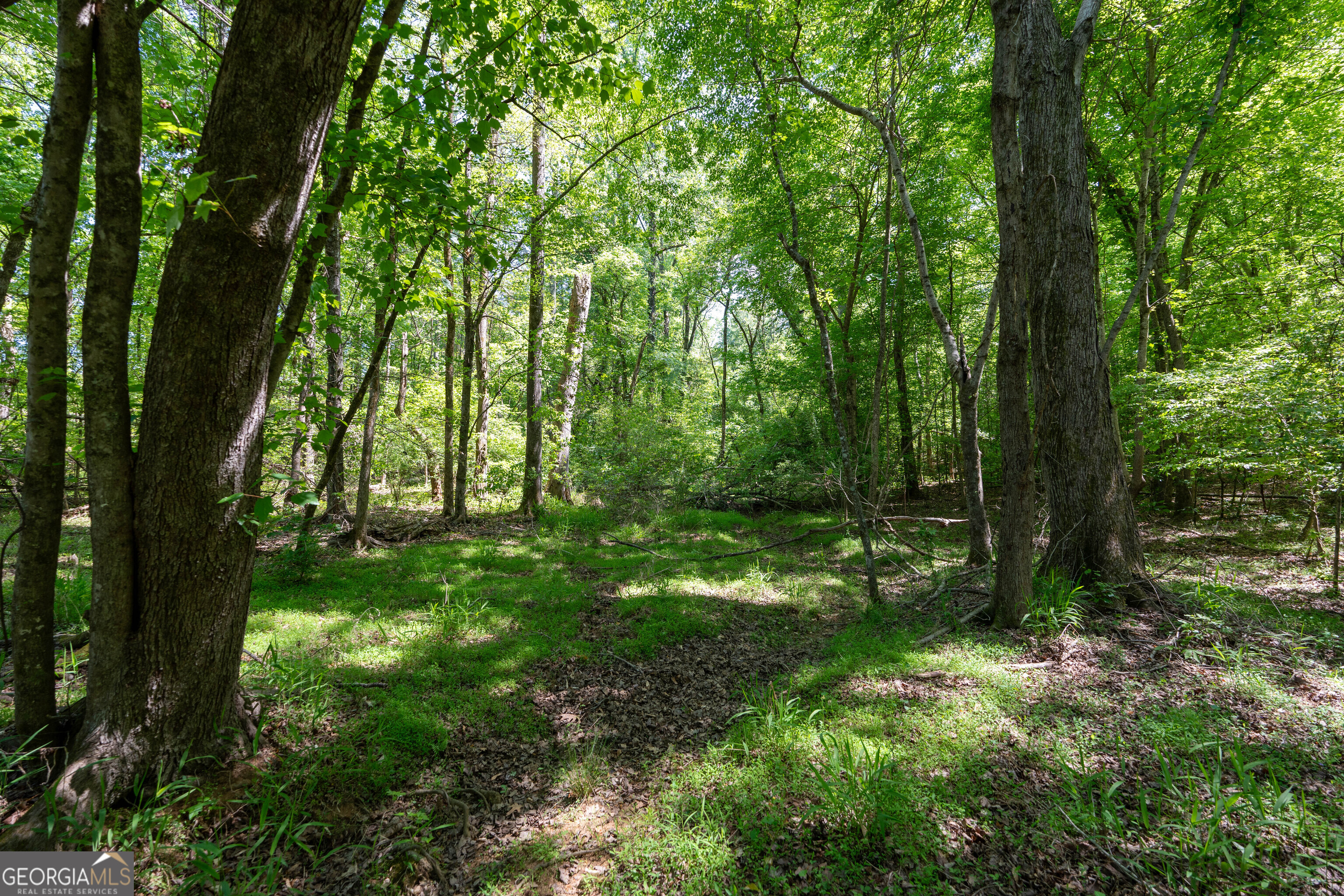2486 Hulmes Chapel Road Elberton, GA 30635 - Photo 37 of 77