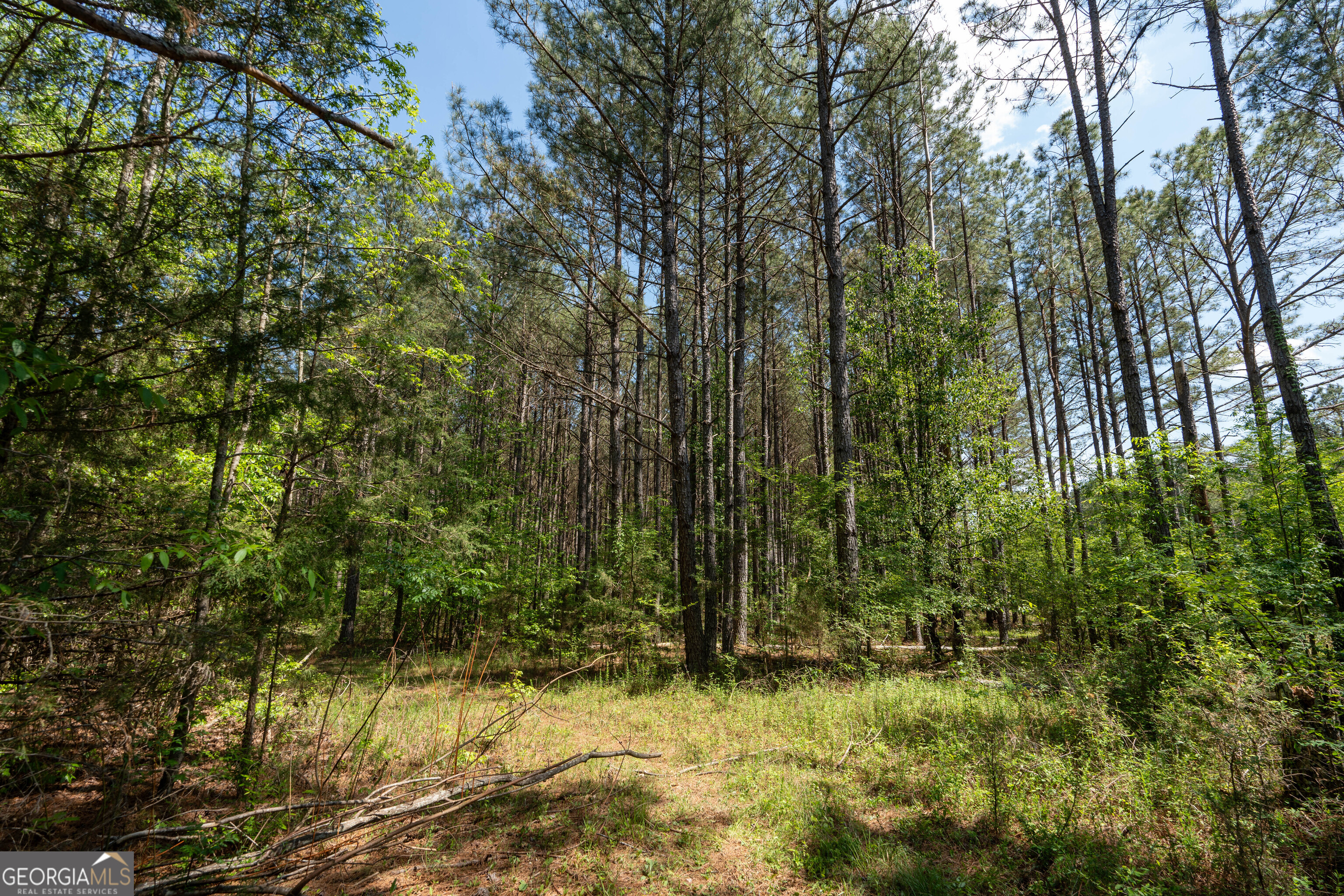 2486 Hulmes Chapel Road Elberton, GA 30635 - Photo 40 of 77