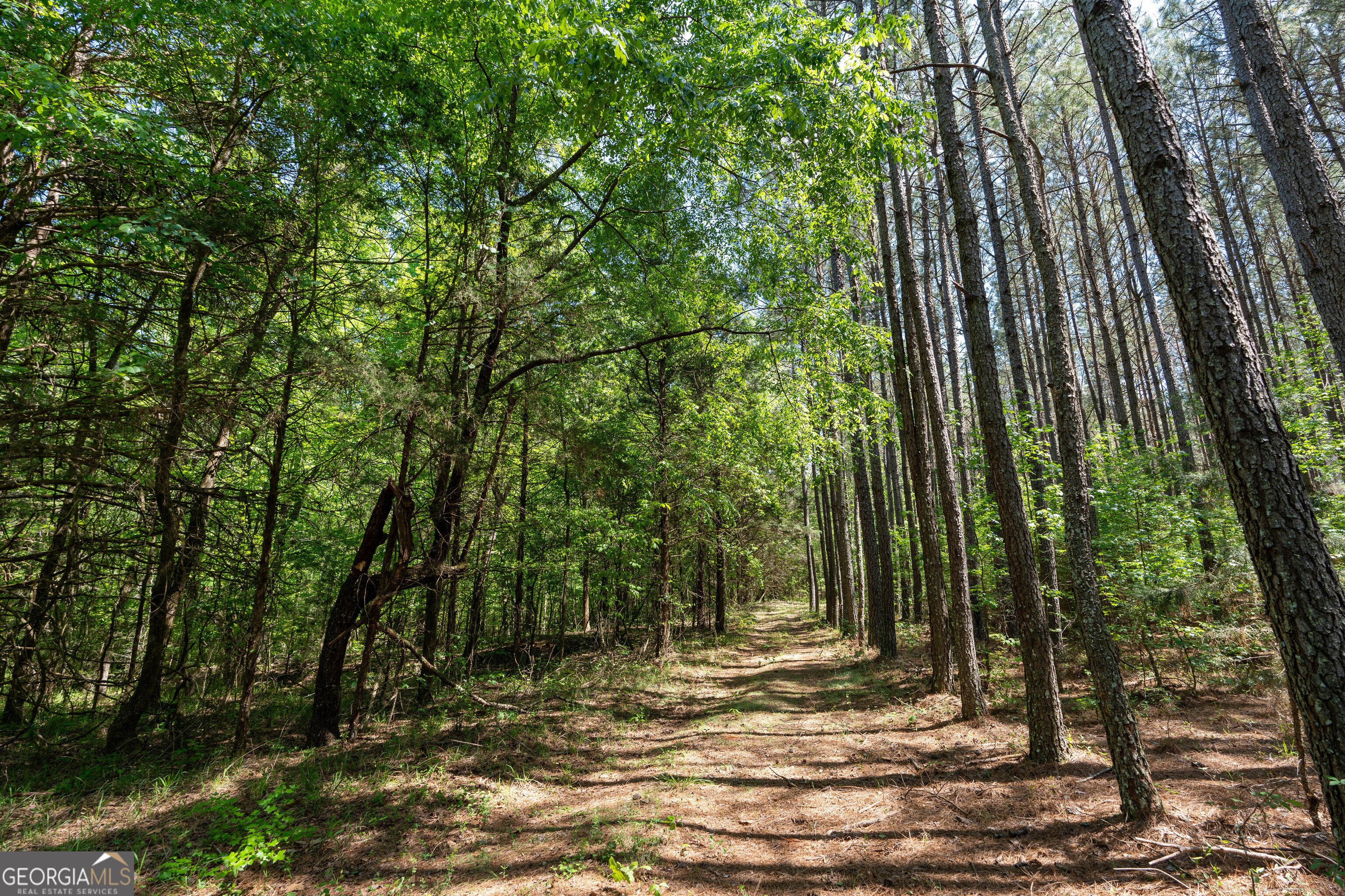 2486 Hulmes Chapel Road Elberton, GA 30635 - Photo 42 of 77