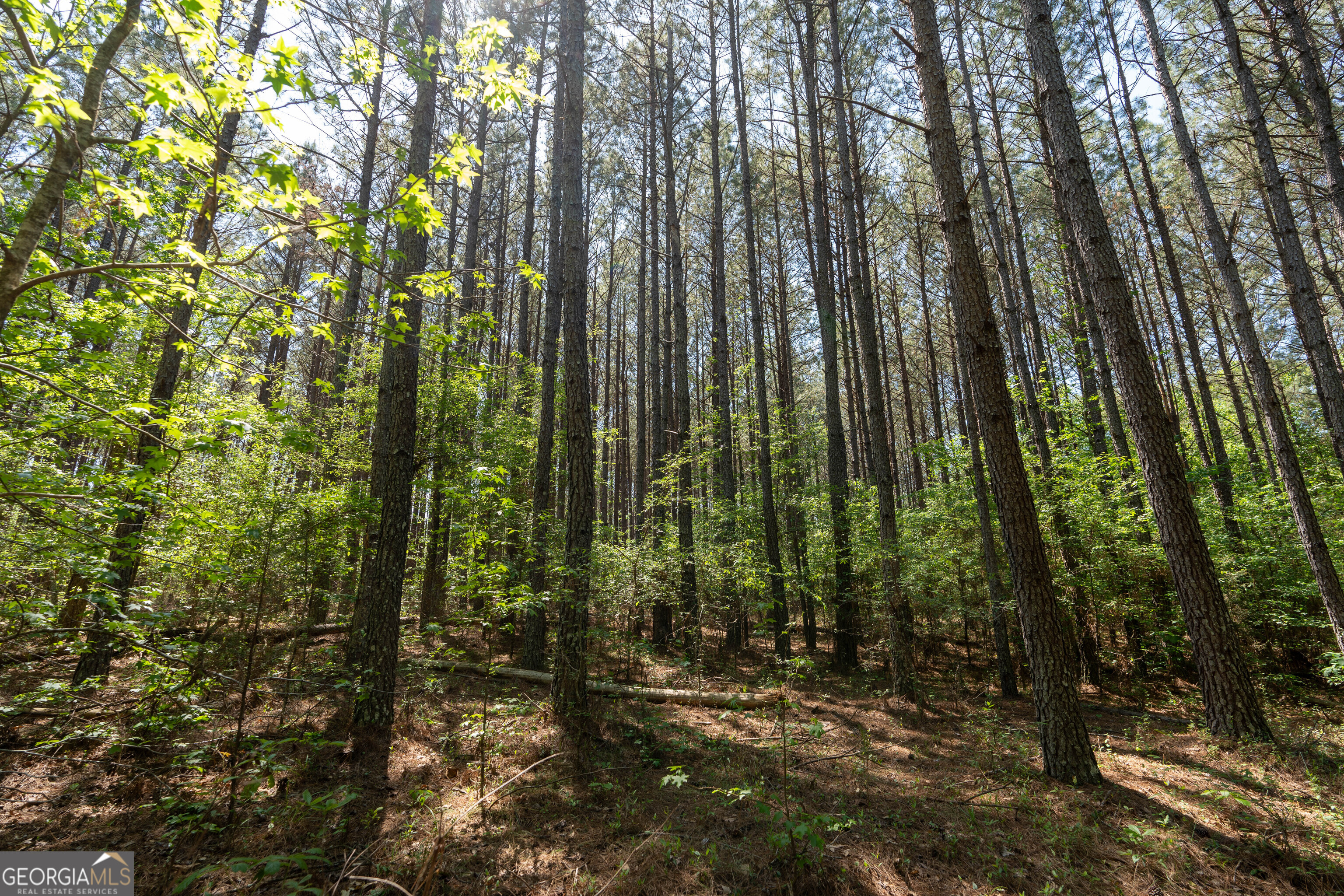 2486 Hulmes Chapel Road Elberton, GA 30635 - Photo 43 of 77