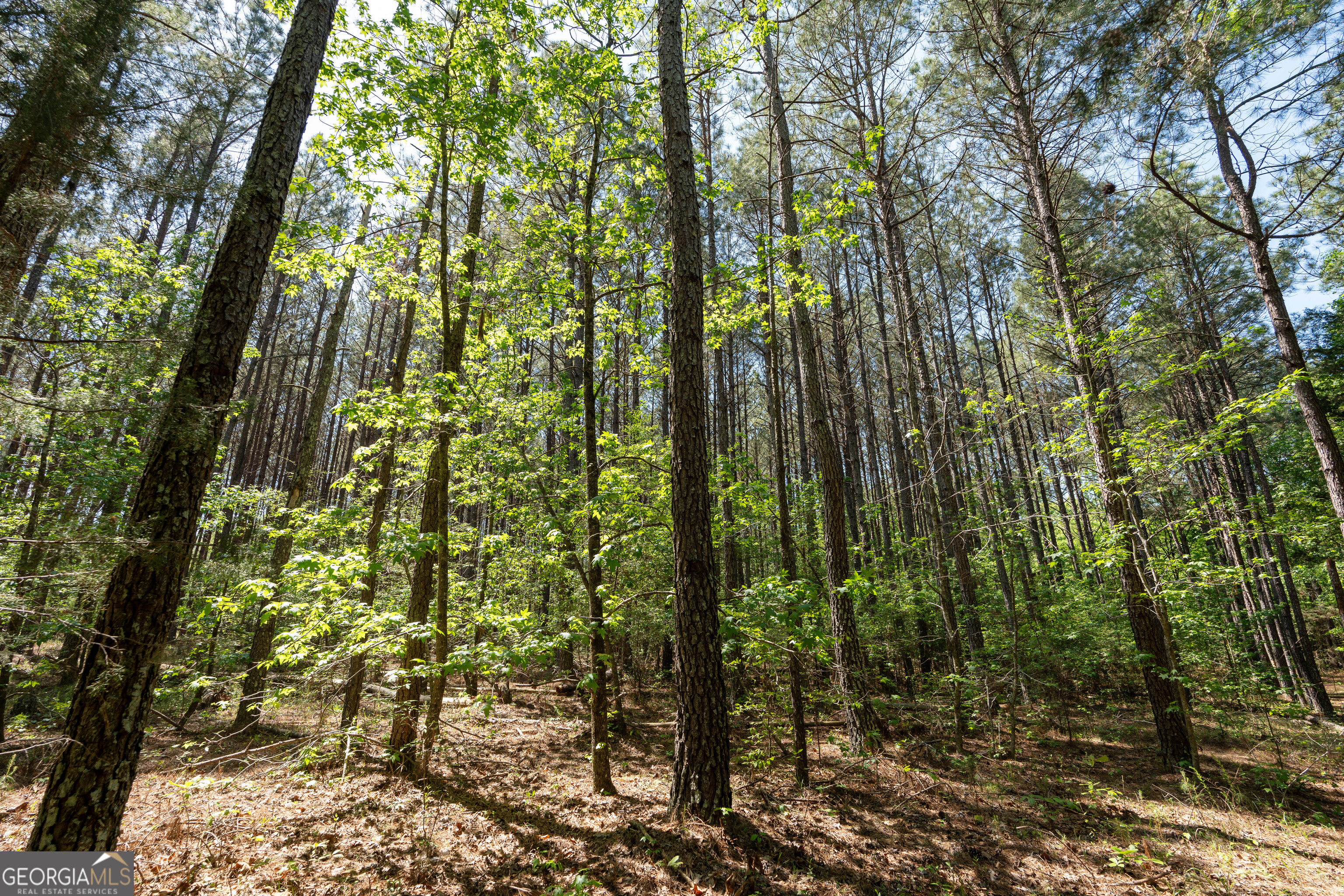 2486 Hulmes Chapel Road Elberton, GA 30635 - Photo 44 of 77