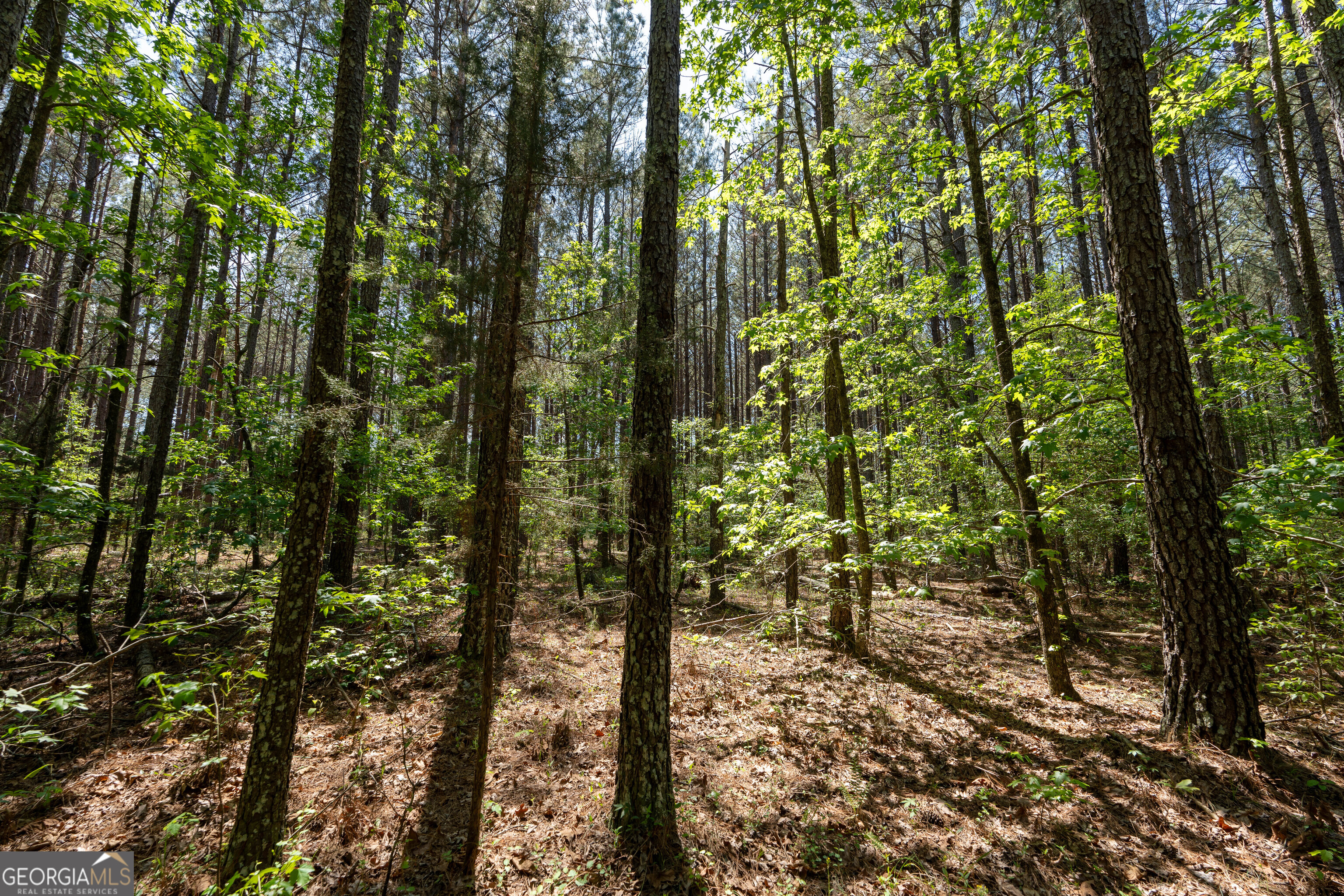 2486 Hulmes Chapel Road Elberton, GA 30635 - Photo 45 of 77