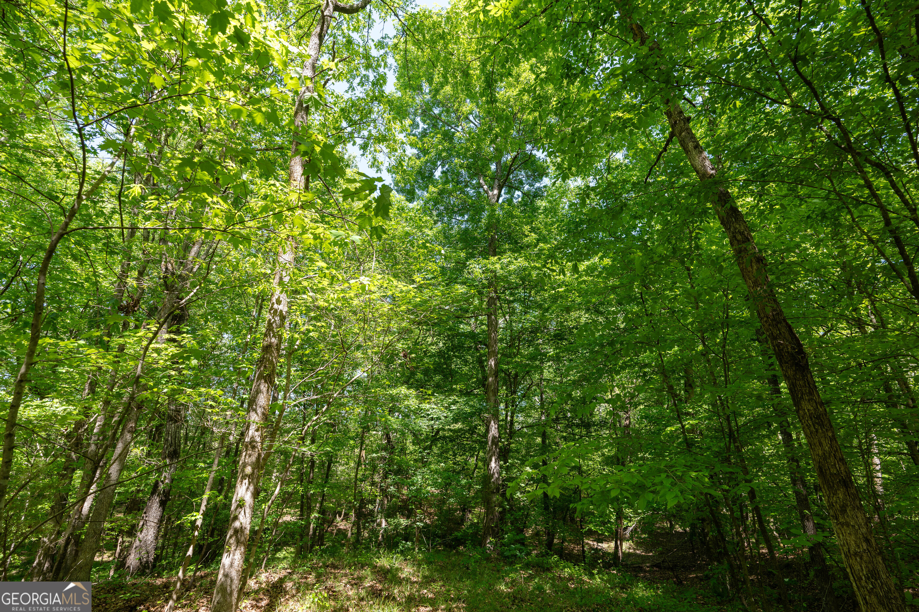 2486 Hulmes Chapel Road Elberton, GA 30635 - Photo 47 of 77