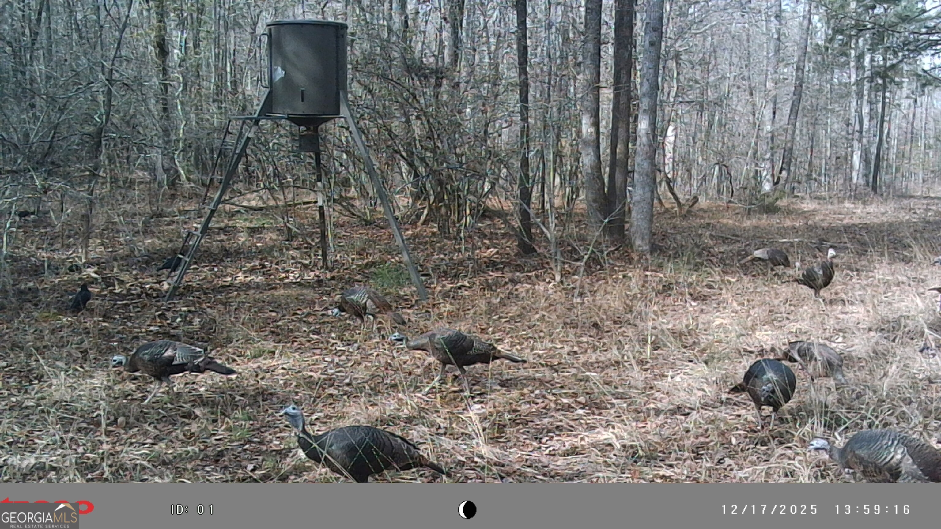 2486 Hulmes Chapel Road Elberton, GA 30635 - Photo 5 of 77
