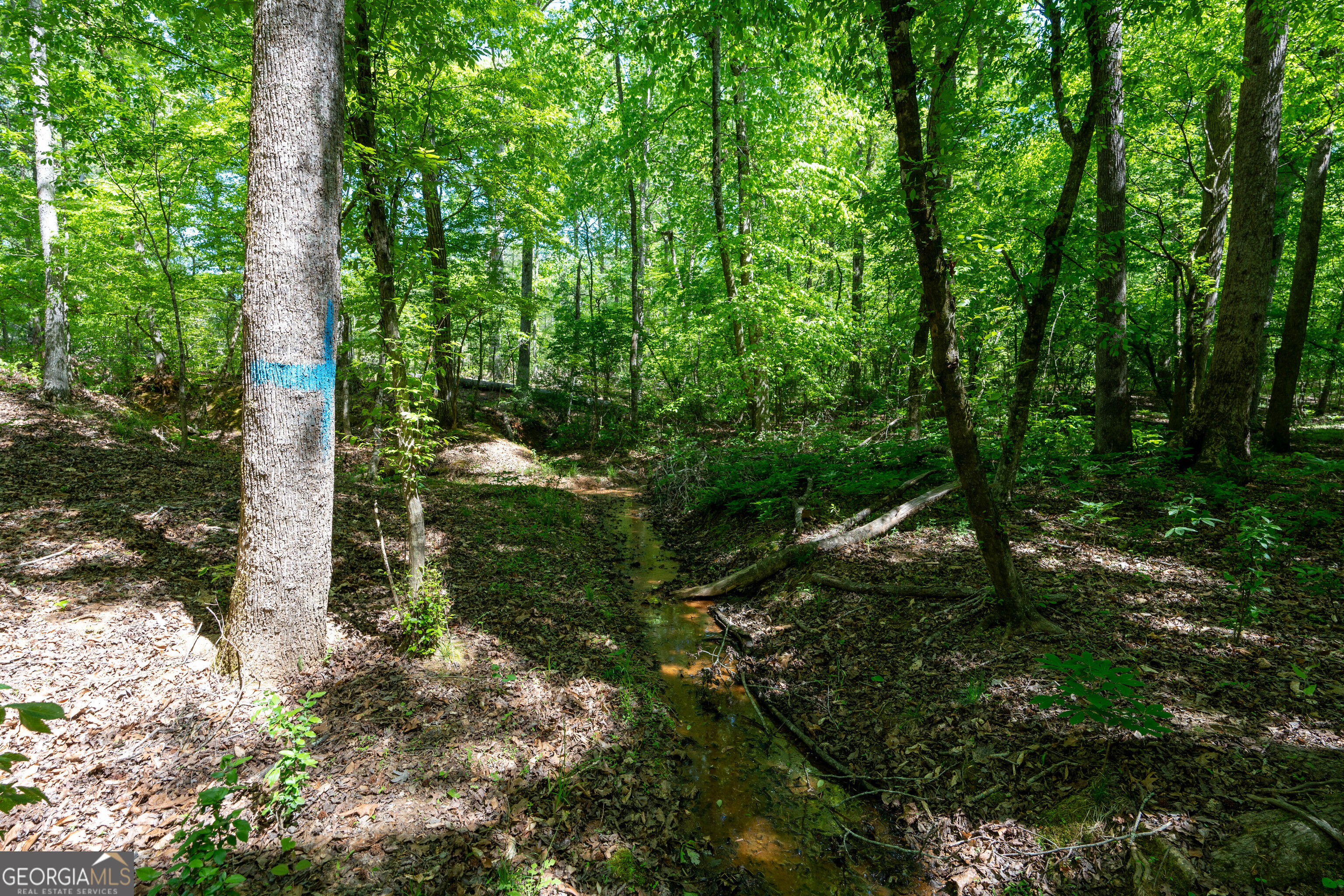 2486 Hulmes Chapel Road Elberton, GA 30635 - Photo 52 of 77