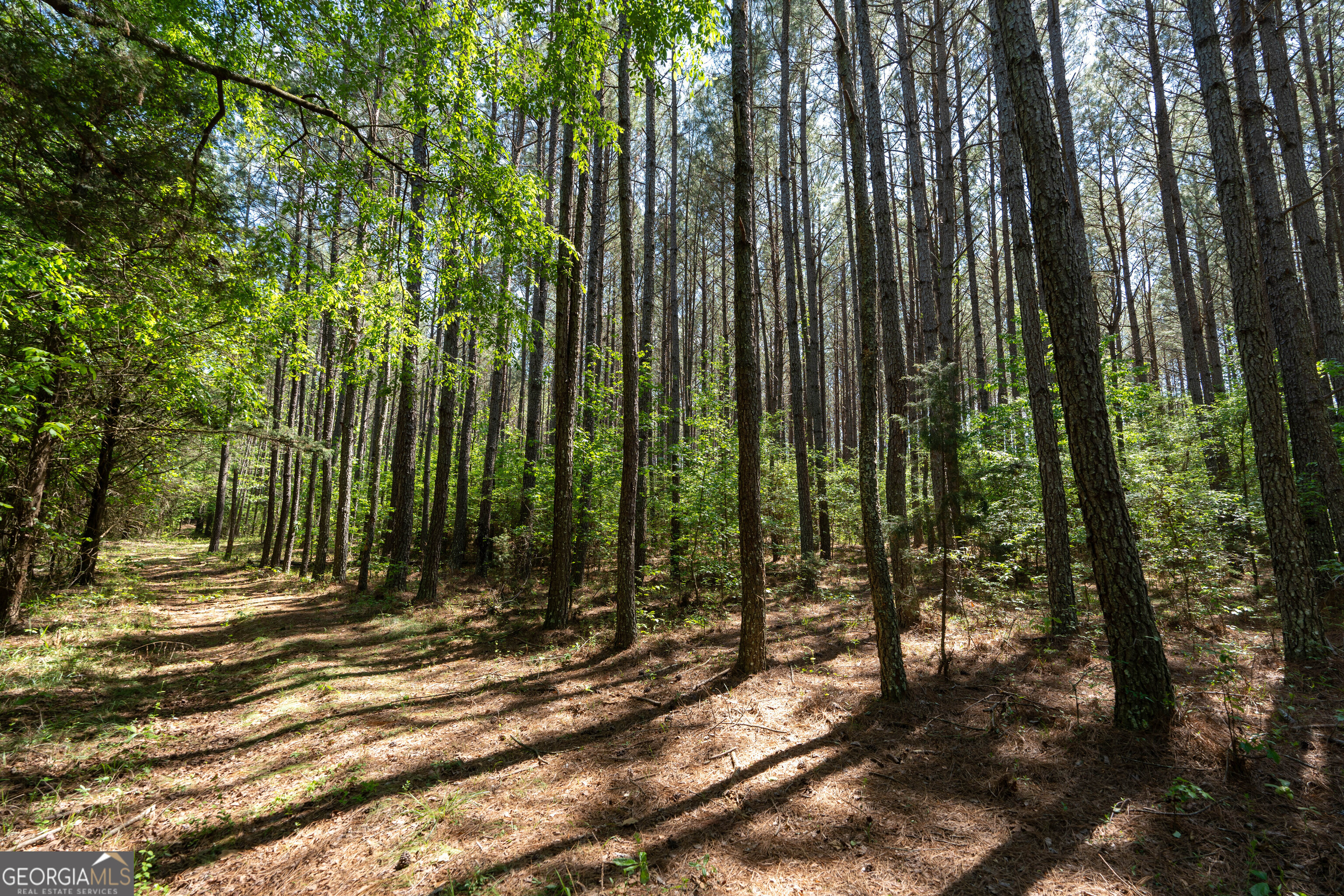 2486 Hulmes Chapel Road Elberton, GA 30635 - Photo 59 of 77