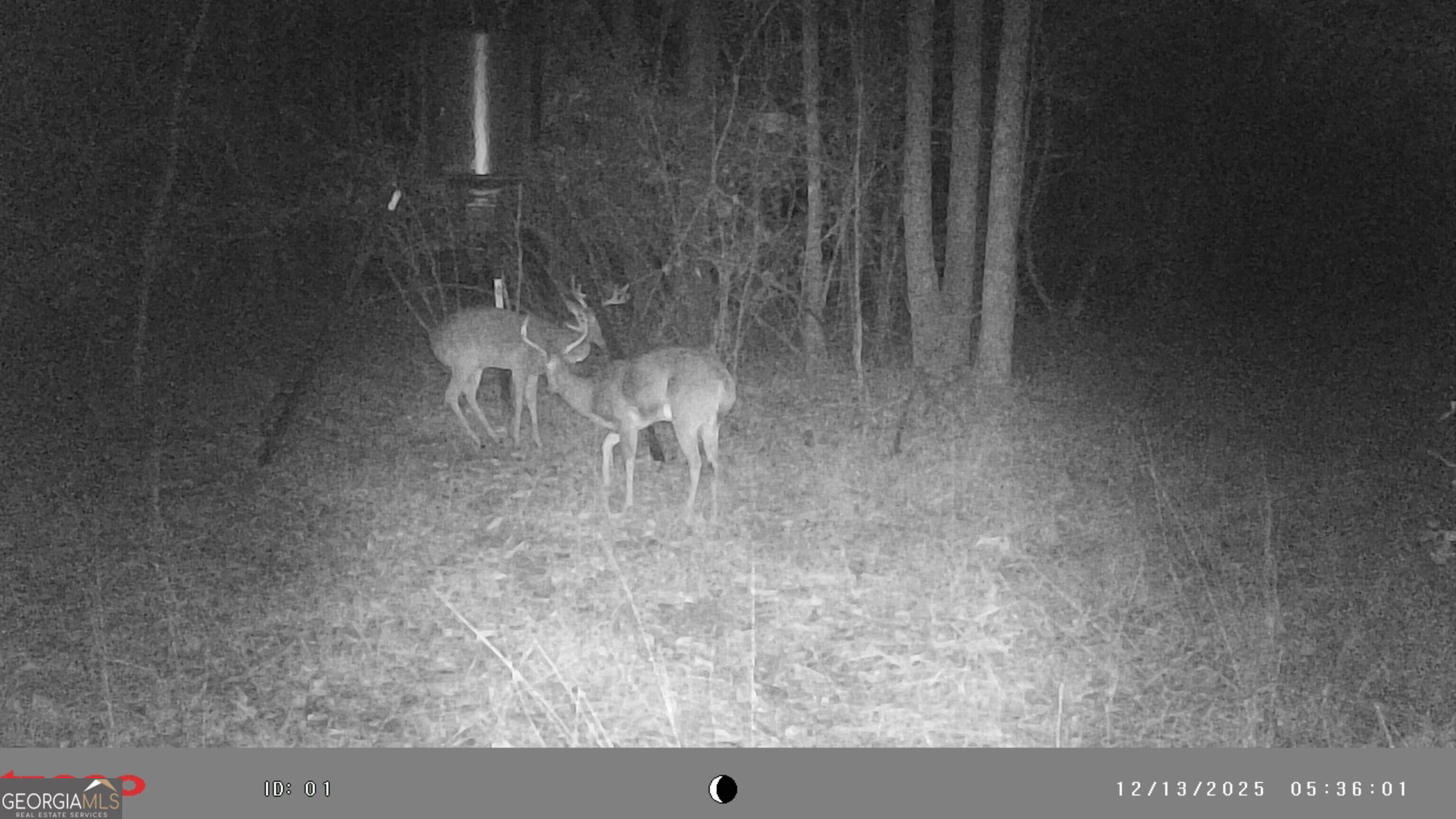 2486 Hulmes Chapel Road Elberton, GA 30635 - Photo 61 of 77