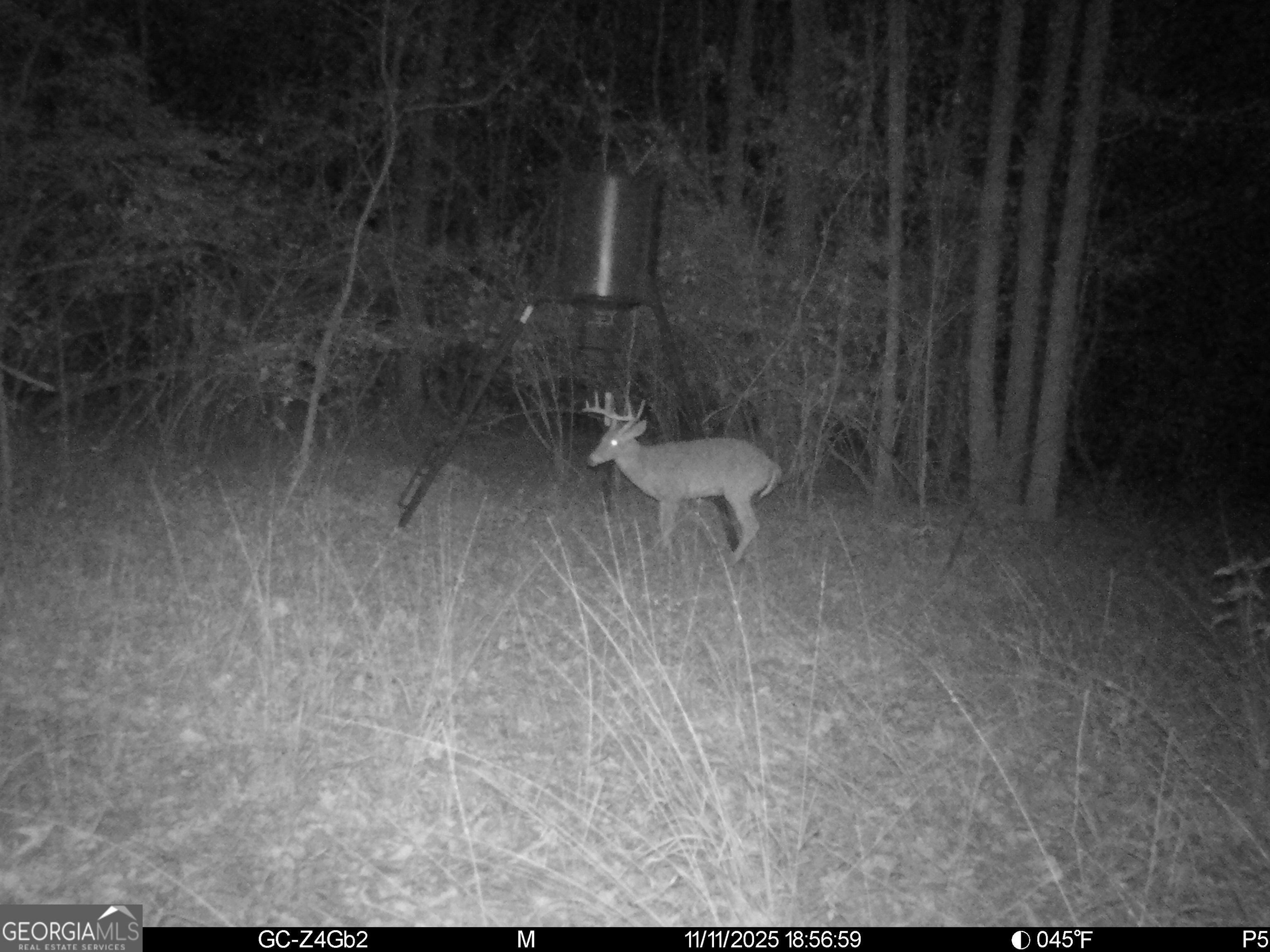 2486 Hulmes Chapel Road Elberton, GA 30635 - Photo 64 of 77