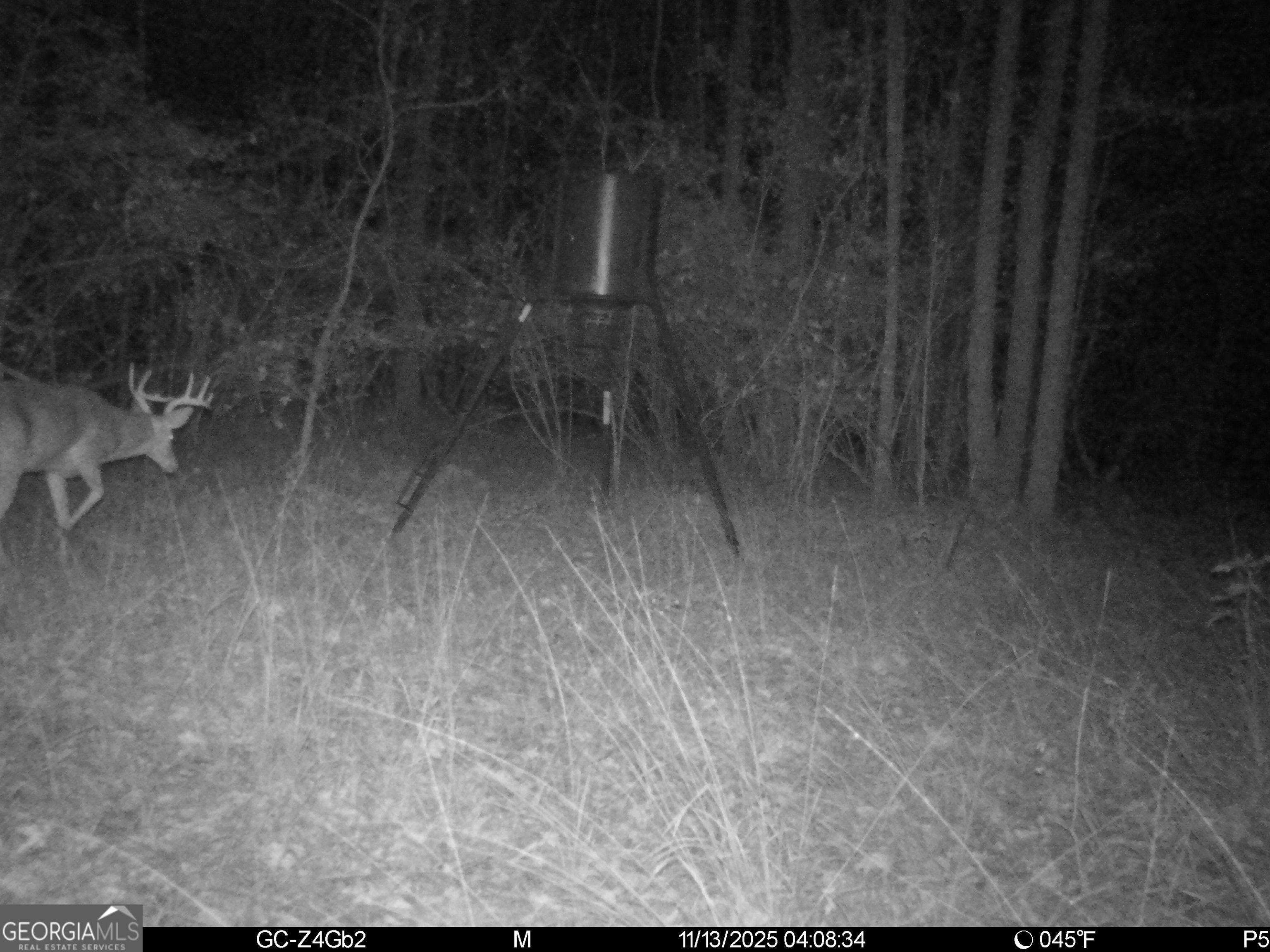 2486 Hulmes Chapel Road Elberton, GA 30635 - Photo 65 of 77