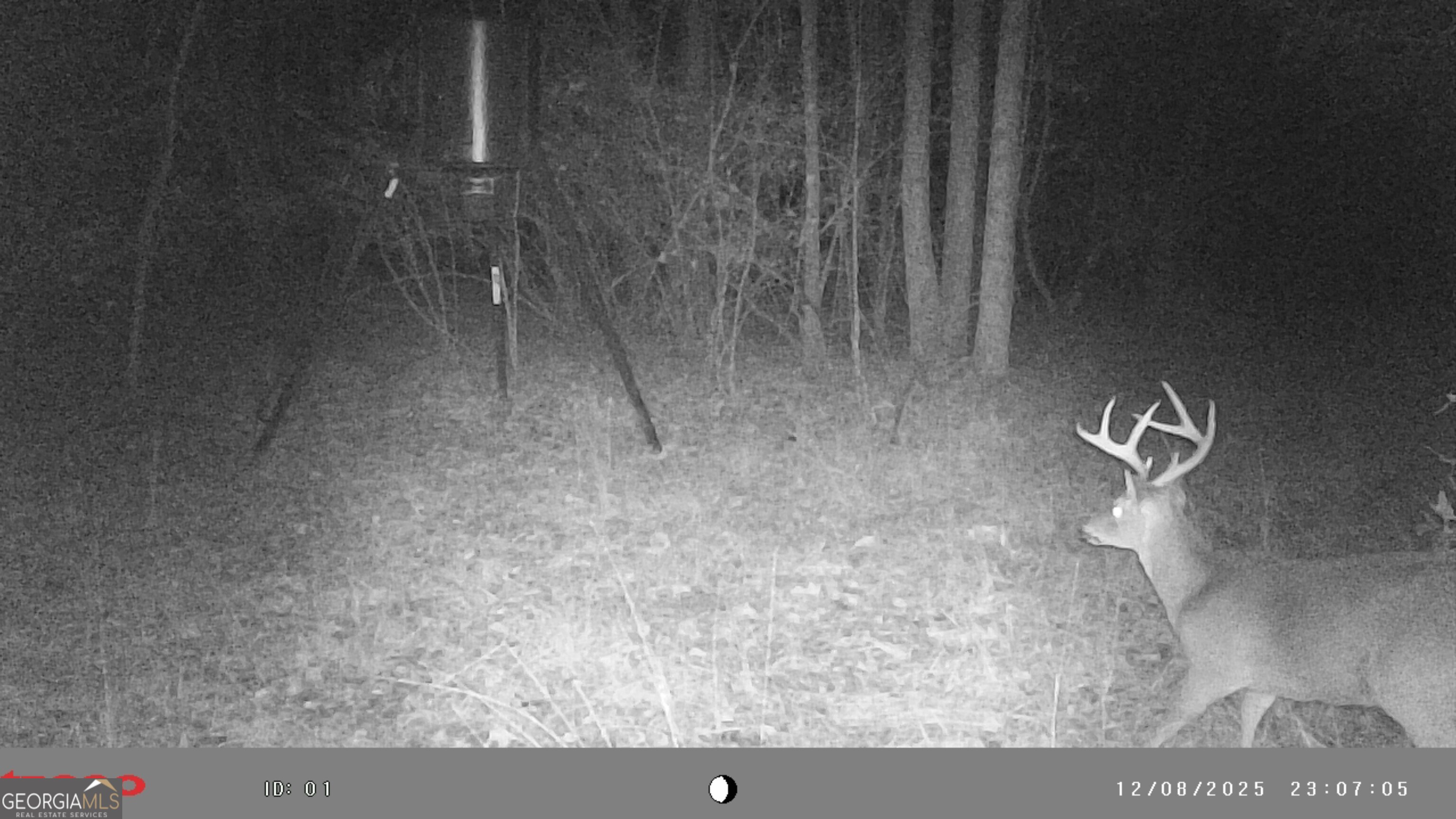 2486 Hulmes Chapel Road Elberton, GA 30635 - Photo 66 of 77