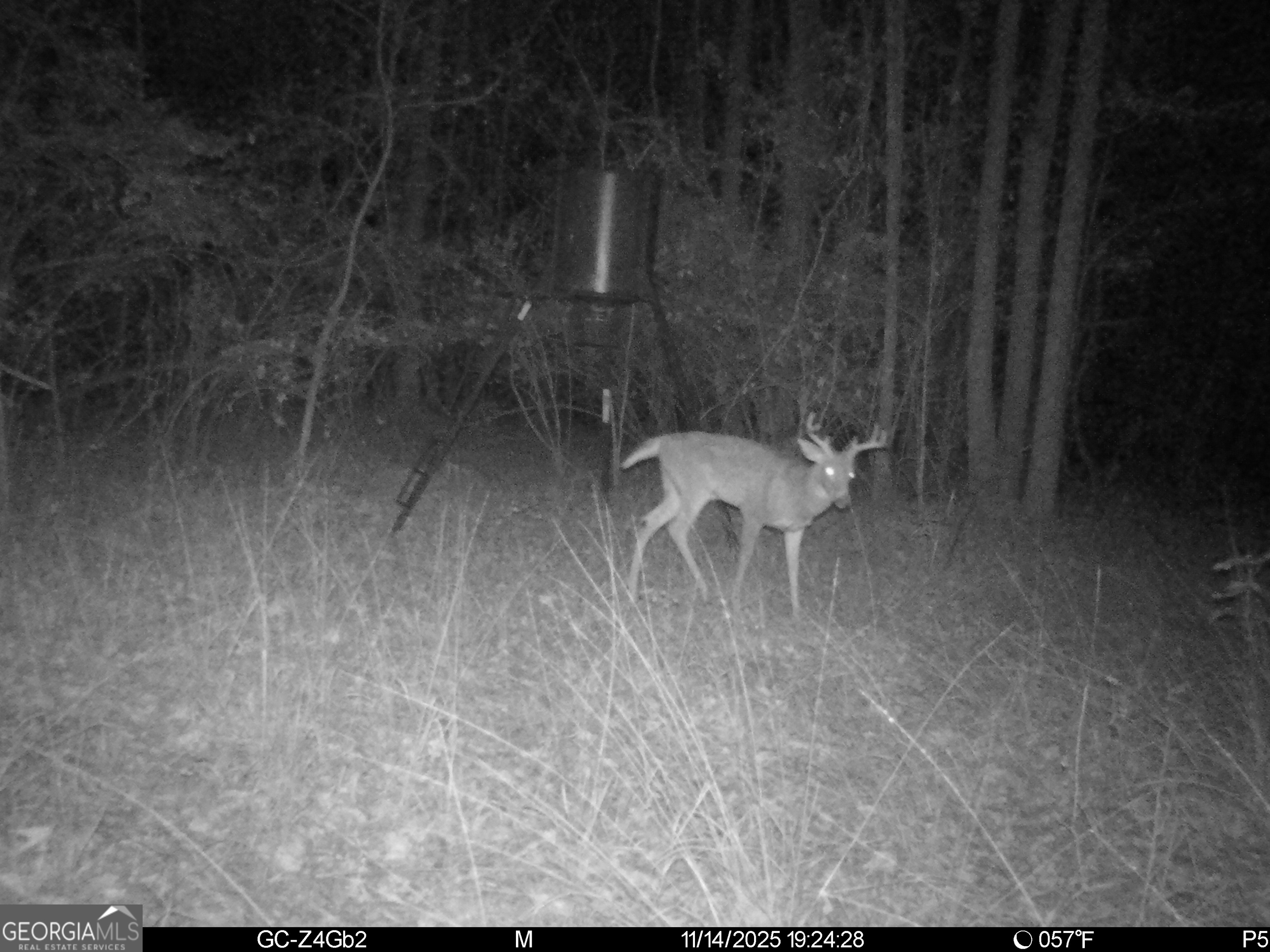 2486 Hulmes Chapel Road Elberton, GA 30635 - Photo 67 of 77
