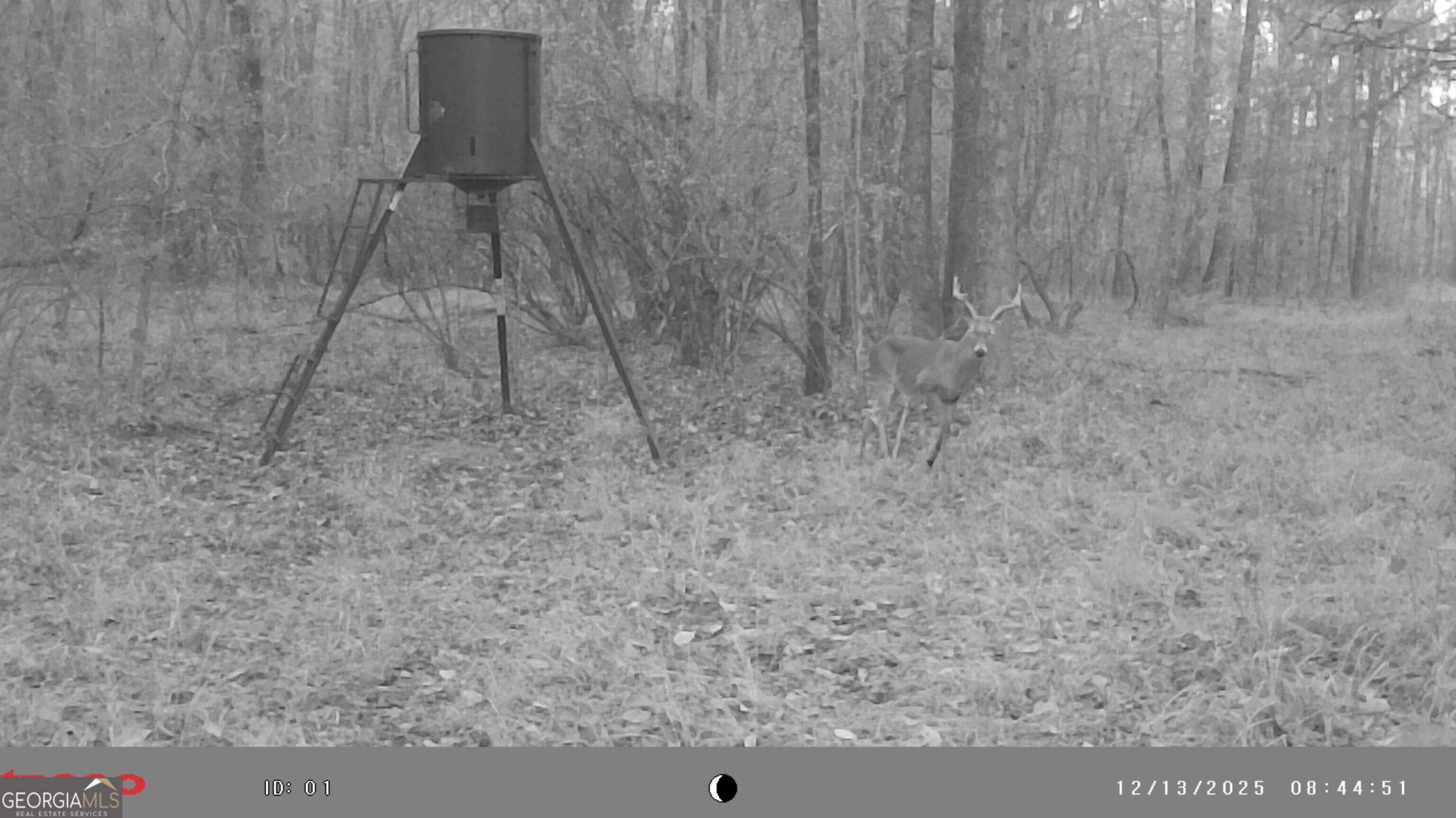 2486 Hulmes Chapel Road Elberton, GA 30635 - Photo 68 of 77